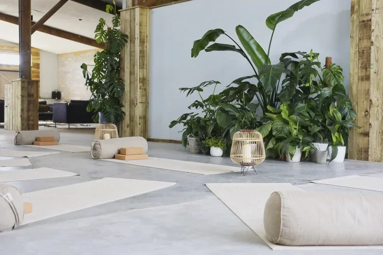 Cabilla+Beth+Druce+Yoga+3-1_edit.webp