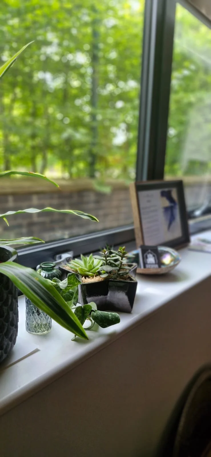 Indoor windowsill with various potted plants and a framed picture, overlooking a green outdoor scene.