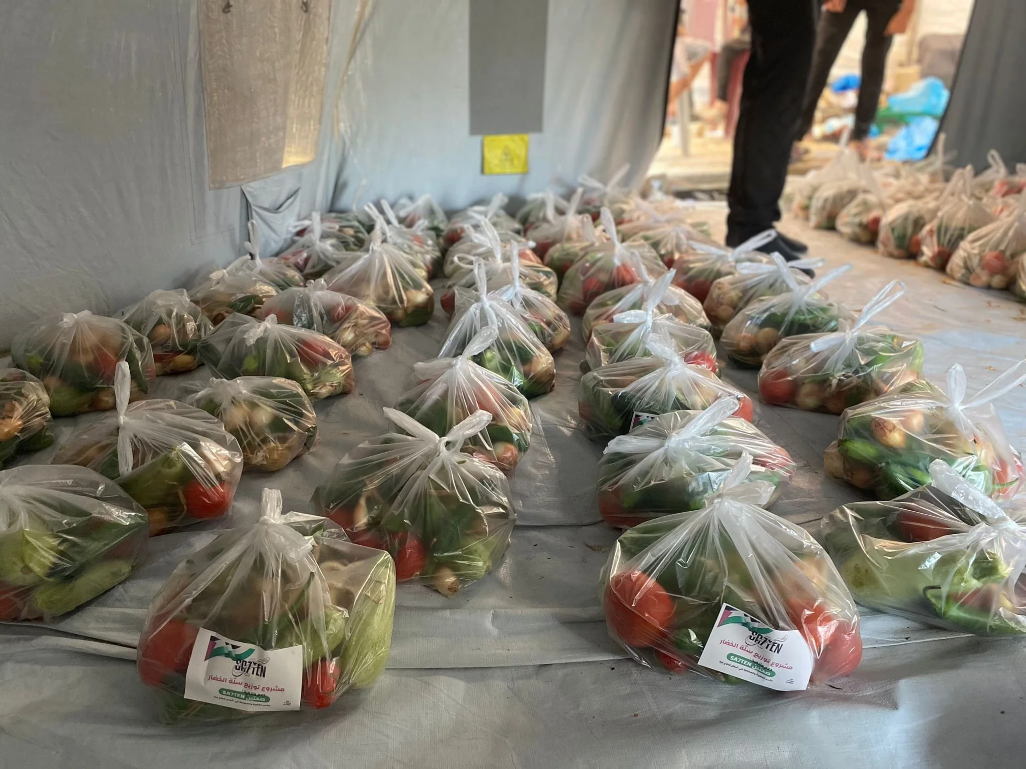 Numerous clear plastic bags filled with fresh vegetables, including tomatoes and peppers, lined up on a surface at a distribution site.