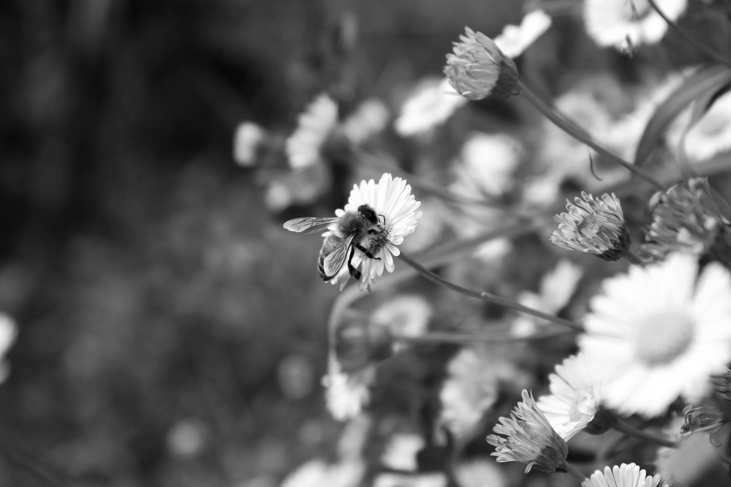 Architecture photo for A.3 -19.jpg