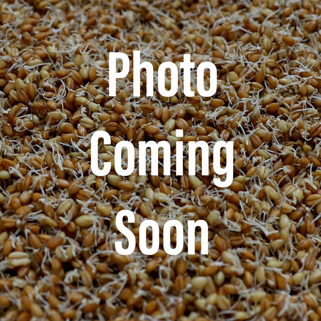 Bizcocho de Manzana y Canela