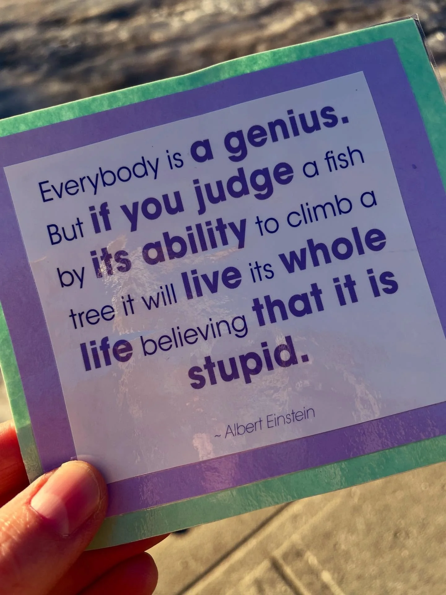 My boy Albert Einstein knew what&rsquo;s up. 

Unfortunately, I think our current education system is forcing a lot of fish to climb trees. 

Let&rsquo;s let them swim.