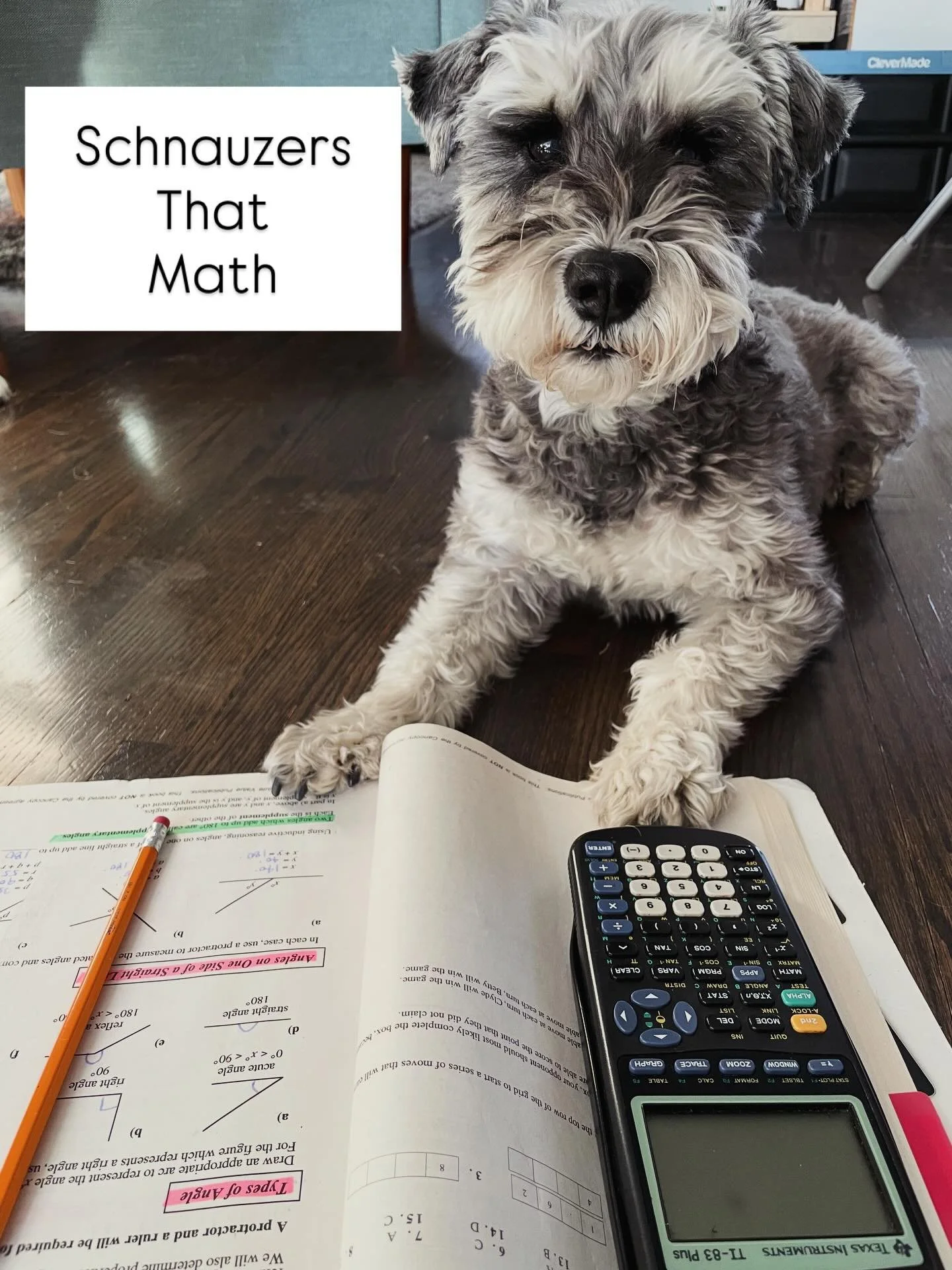 Sometimes girls math, sometimes schnauzers math. 🐶

Here&rsquo;s my partner in crime, Kip, just paw-ndering a problem. 🐾 

Proof that not all doggies eat homework! 📚😜

#GirlsThatMath #lovetoseeit #doglife #schnauzersofinstagram
