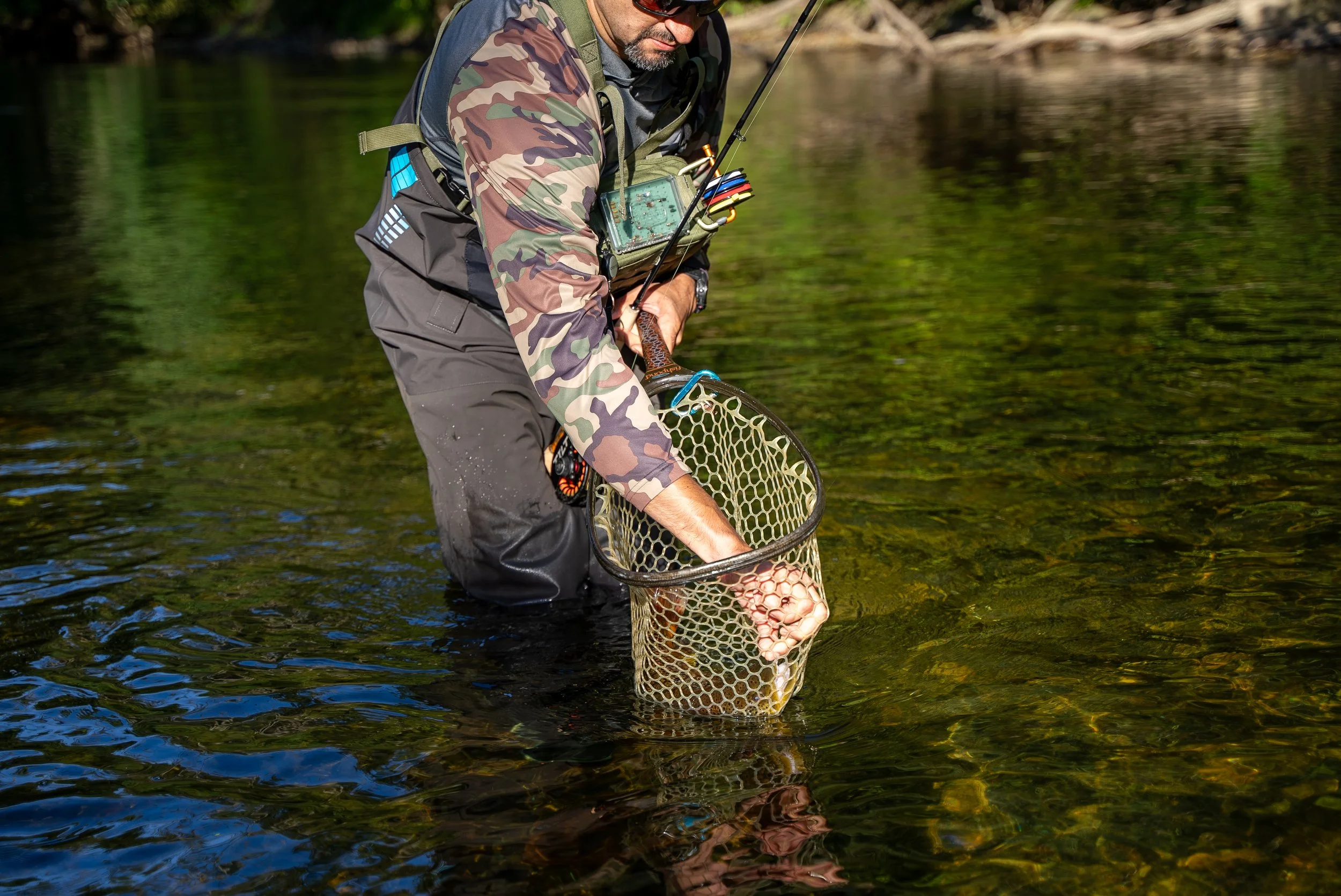 fish pic 1.jpg