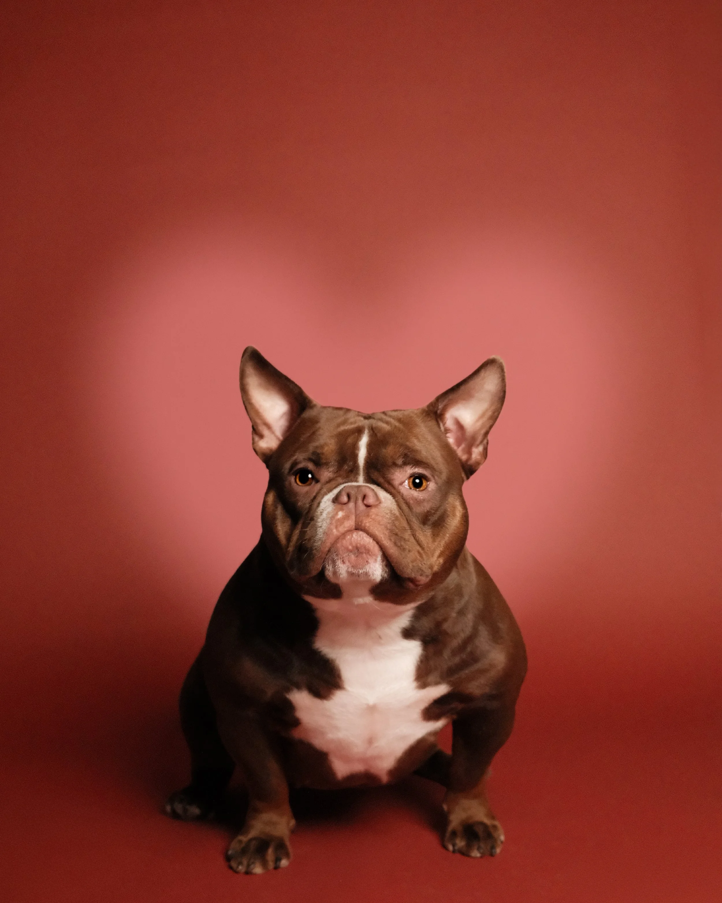 Vonny x Nest Grooming Studio-2.jpg