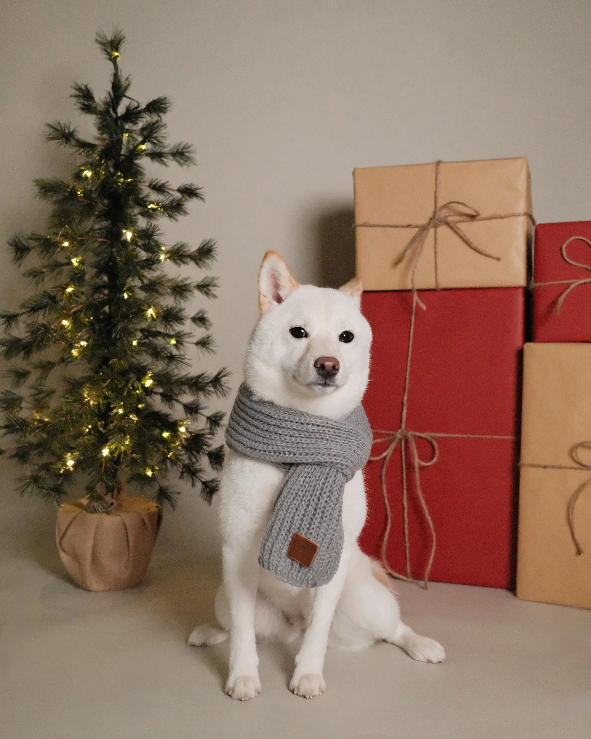 Kira x Nest Grooming Studio x Holidays.jpg