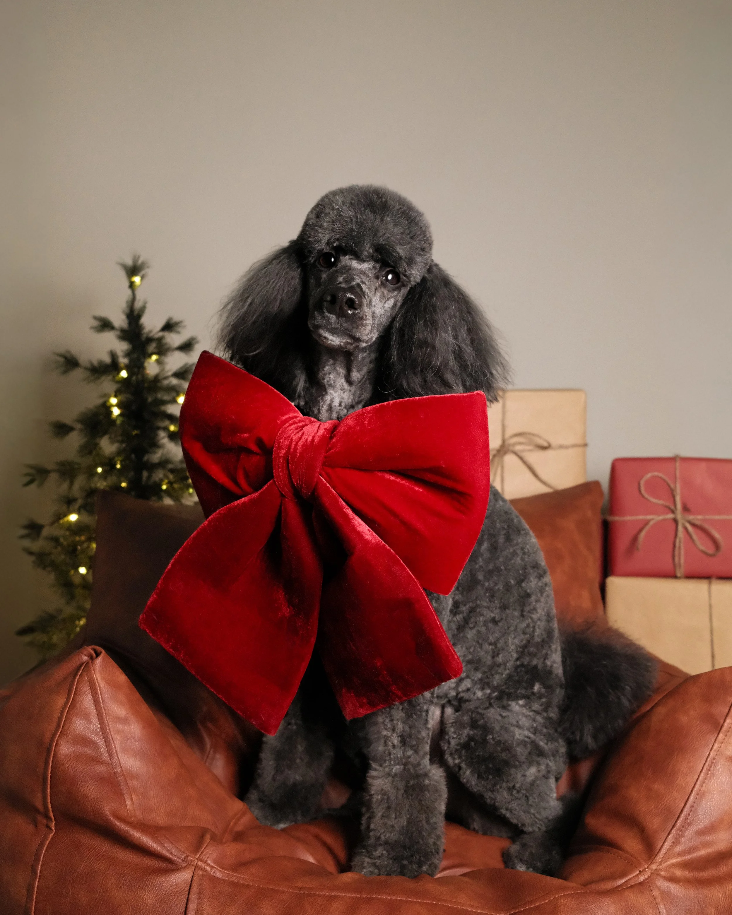 Mitsi x Nest Grooming Studio x Holidays-1.jpg