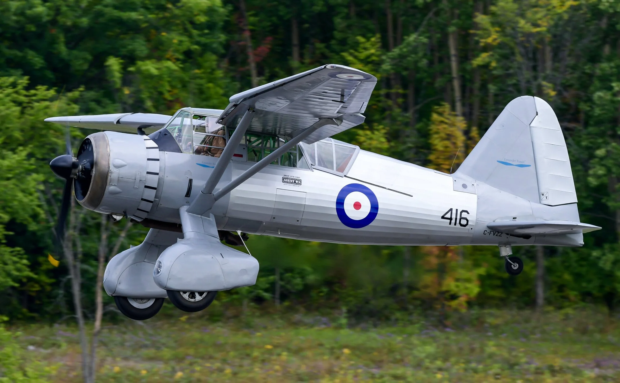 Westland Lysander III — Photo: Gus Corujo
