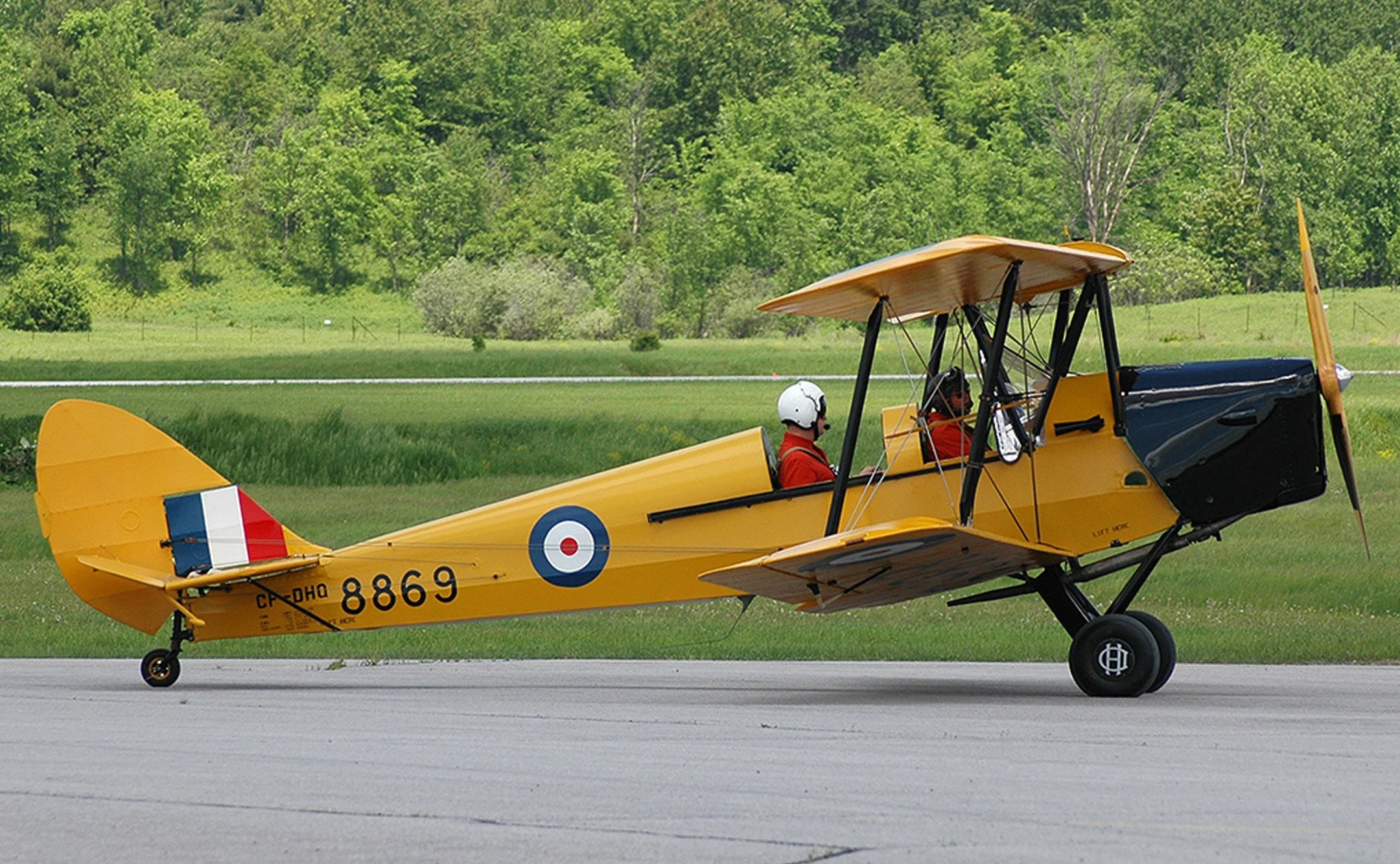 TigerMoth8869.jpg