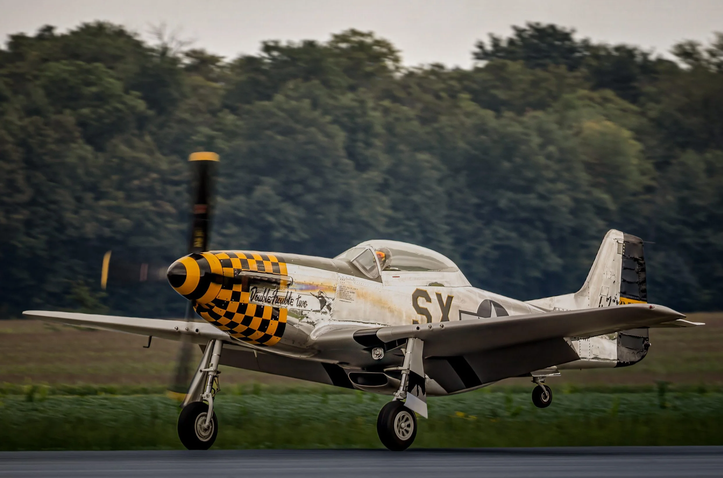 North American P-51D — Photo: Stampede Aviation