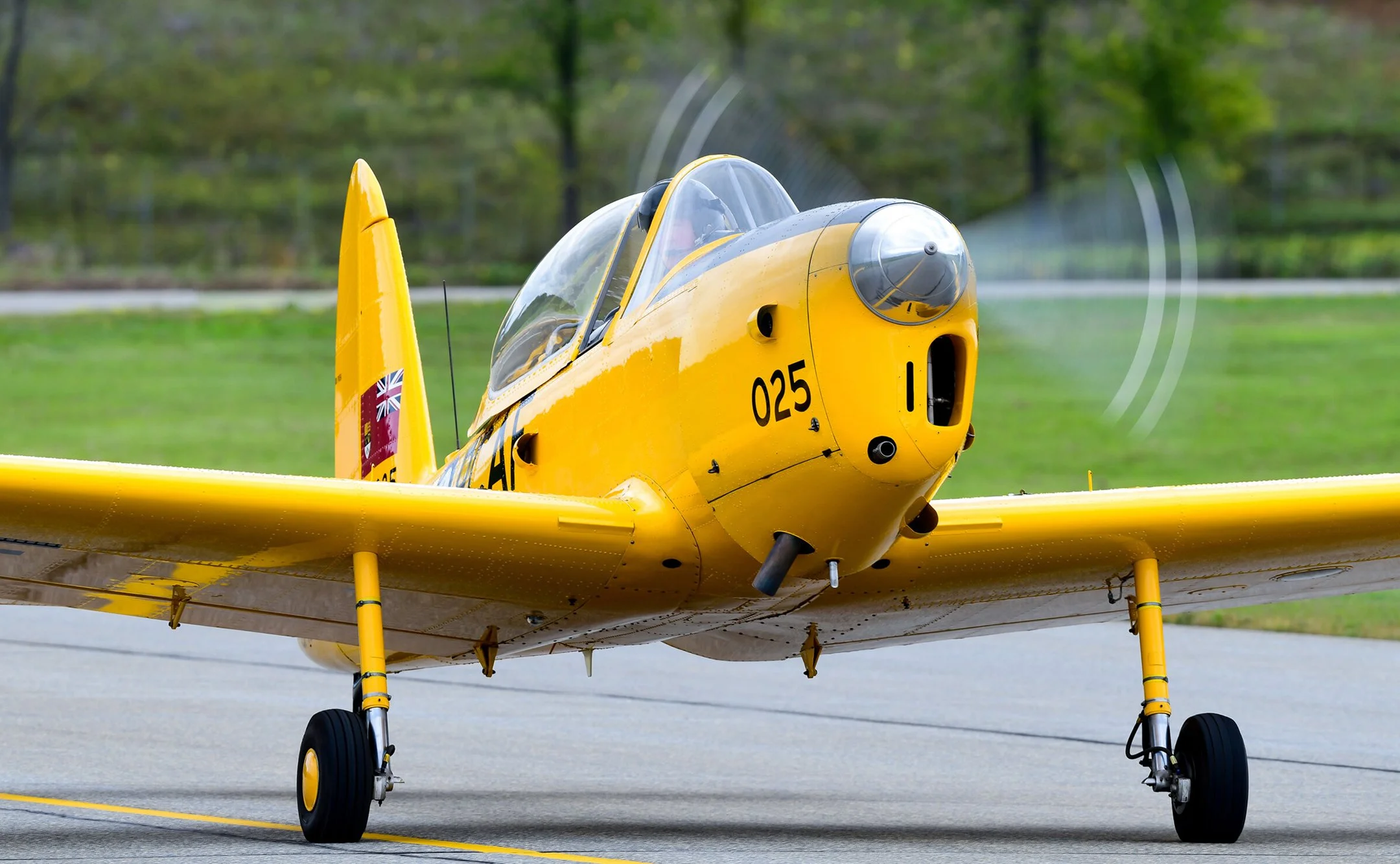de Havilland DHC-1 Chipmunk — Photo: Gus Gorujo