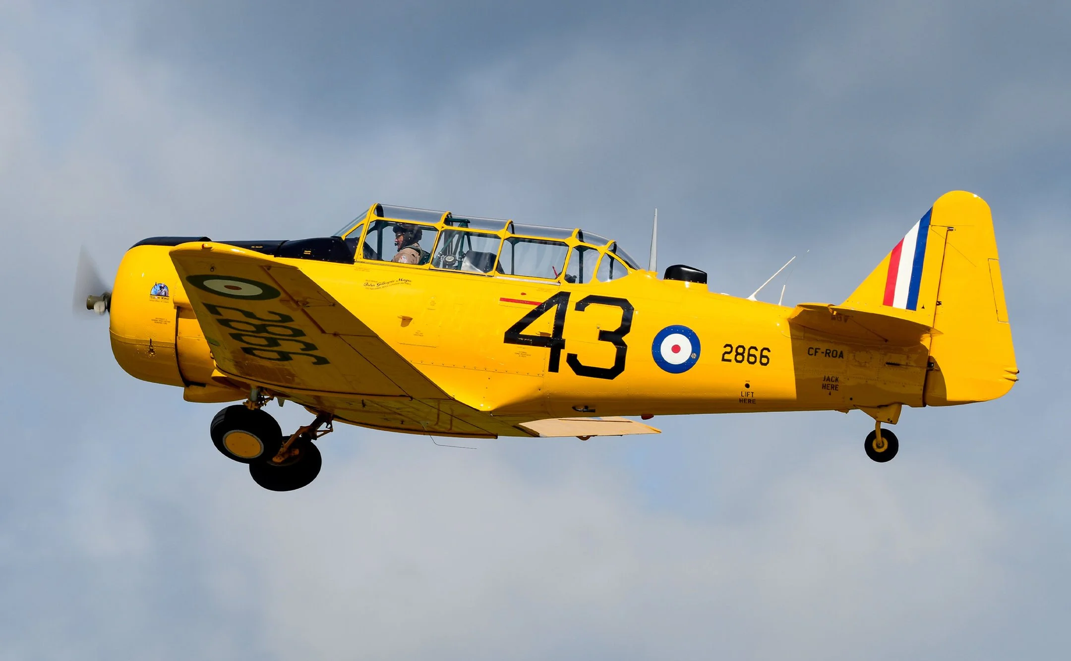 Canadian Car and Foundry Harvard 4 — Photo: Gus Corujo