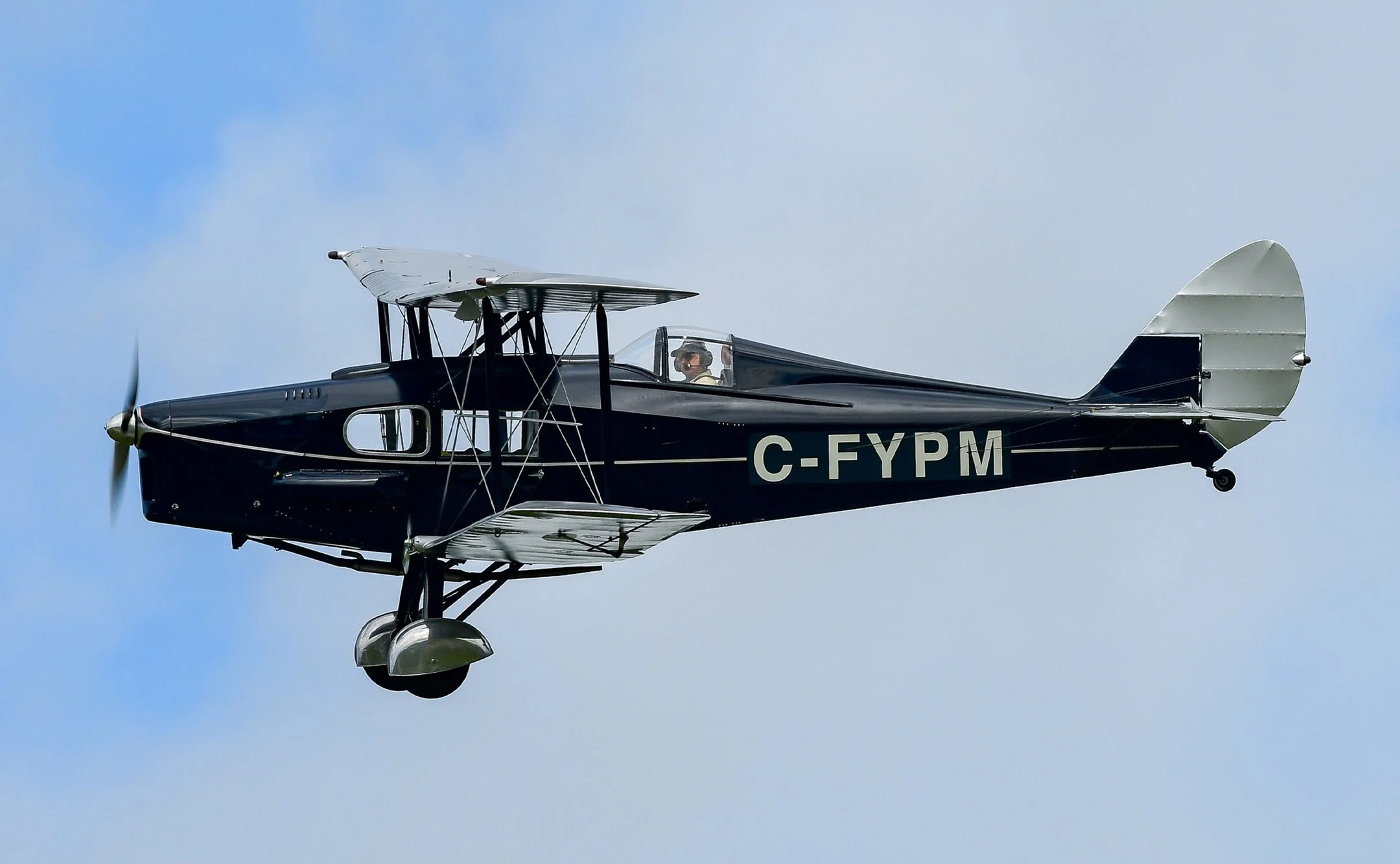 de Havilland DH-83 Fox Moth — Photo: Gus Carujo