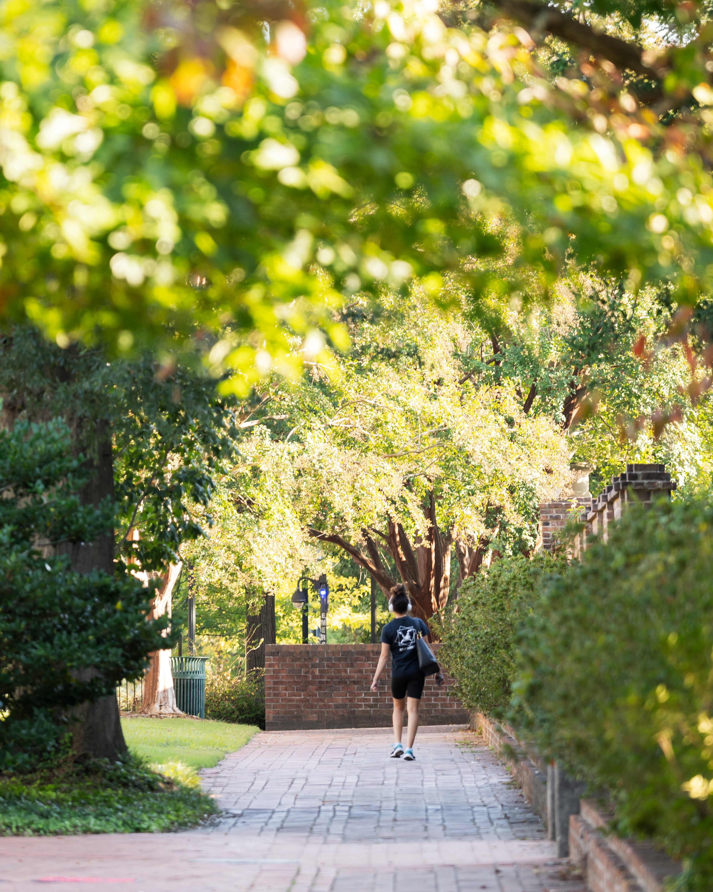 101324SF-CampusScenes-0014.jpg