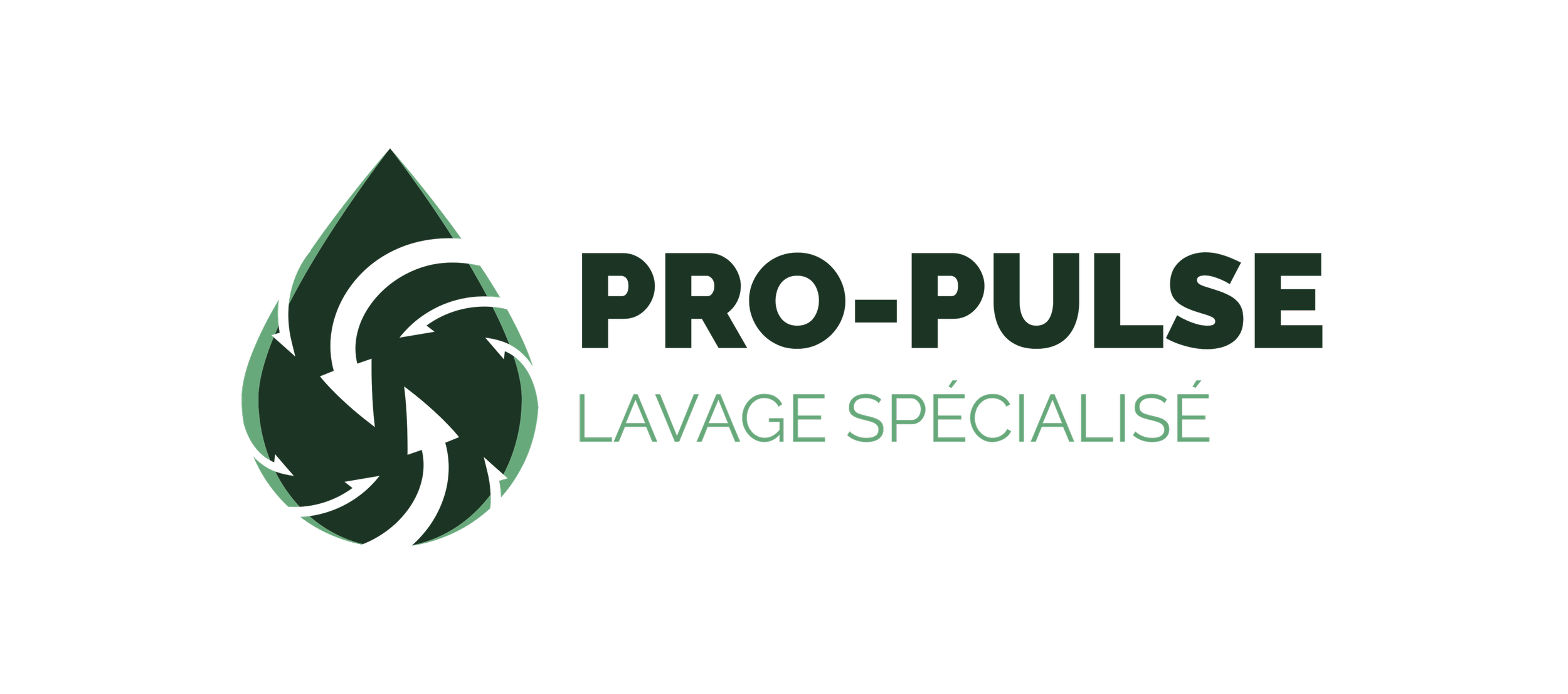 Logo de Pro-Pulse, lavage spécialisé, avec une icône de flèches de recyclage en forme de goutte d'eau.