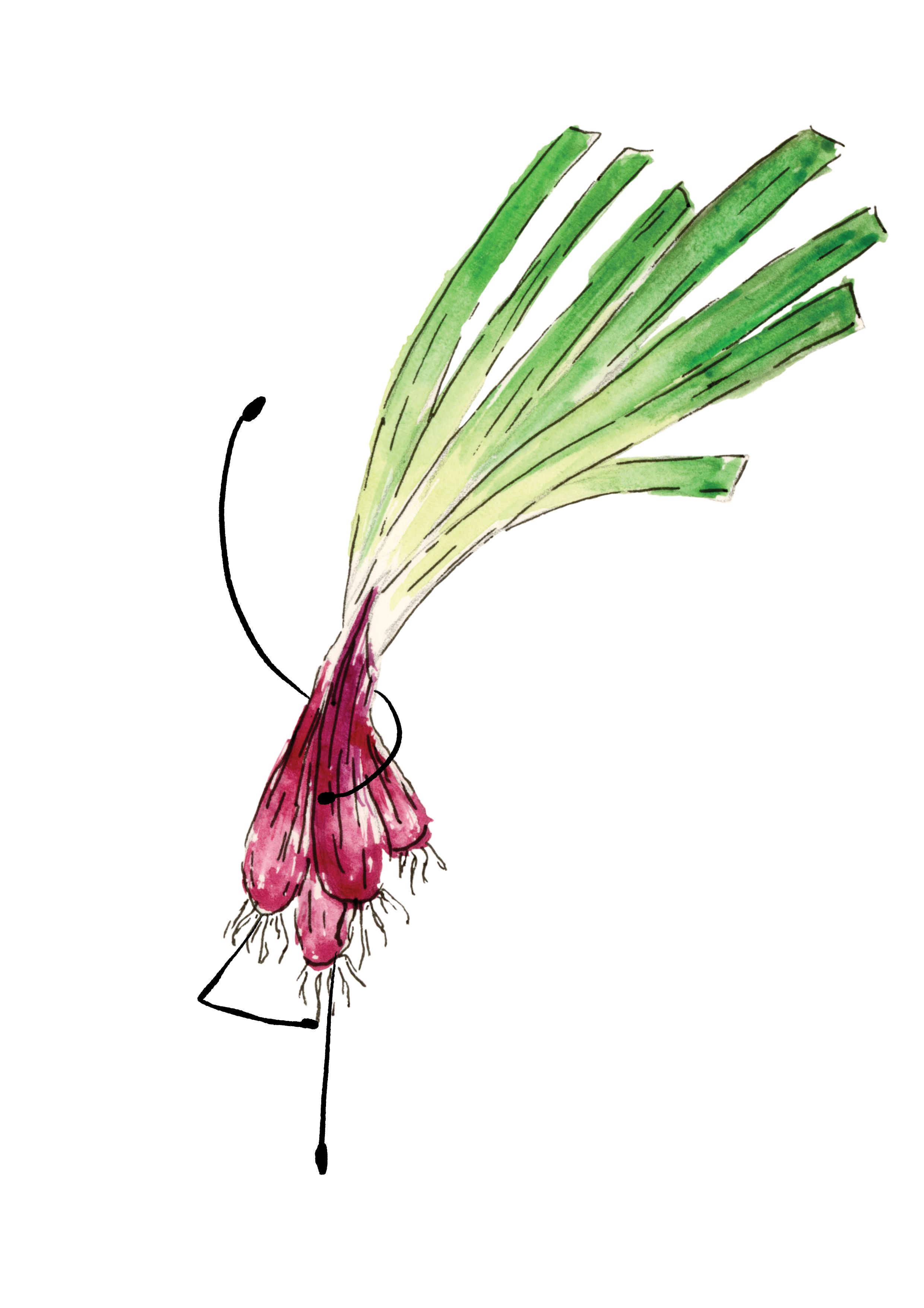 An illustration of a bunch of onions dancing