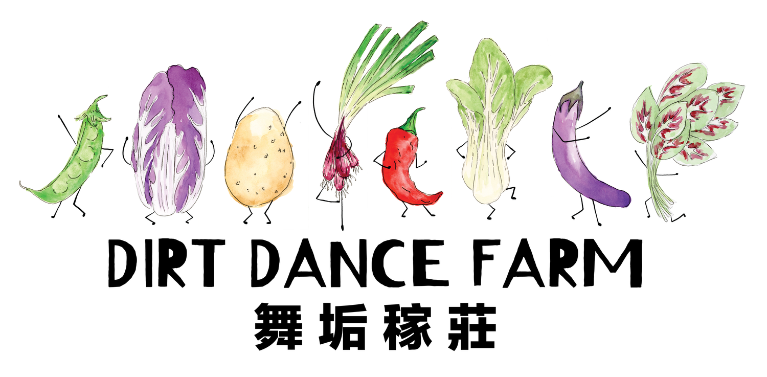 Dirt Dance Farm