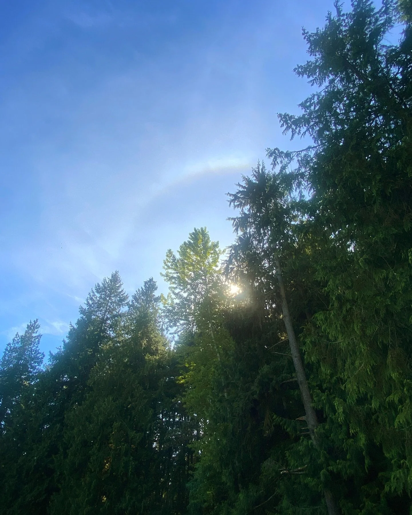 When was the last time you let the sky stop you in your tracks?