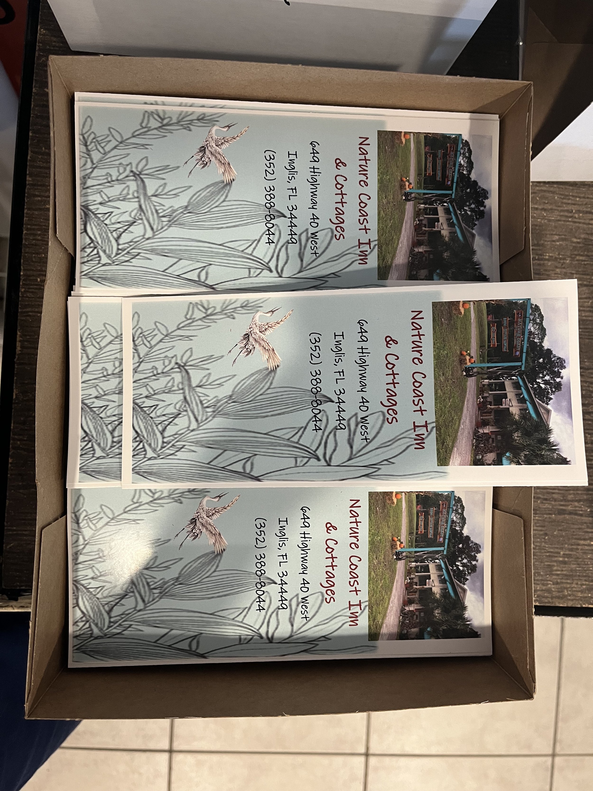Three printed flyers inside a cardboard tray advertising 'Native Coast Inn & Cottages' with an image of a building on a green lawn and a small inset photo of a cruise ship at a dock; the flyers have illustrations of a bird and plants in the backgroun