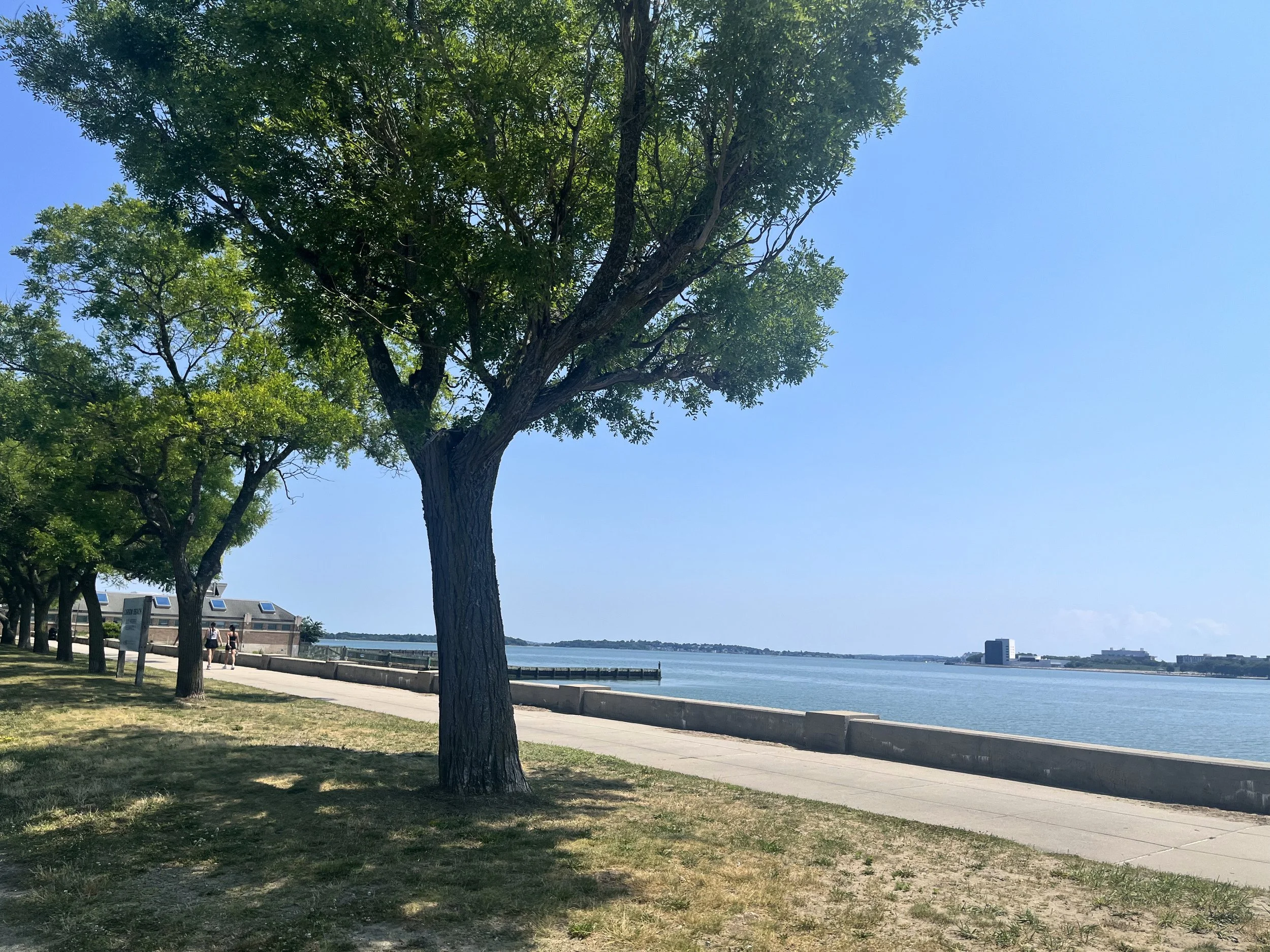 The Ultimate South Boston Weekend Guide