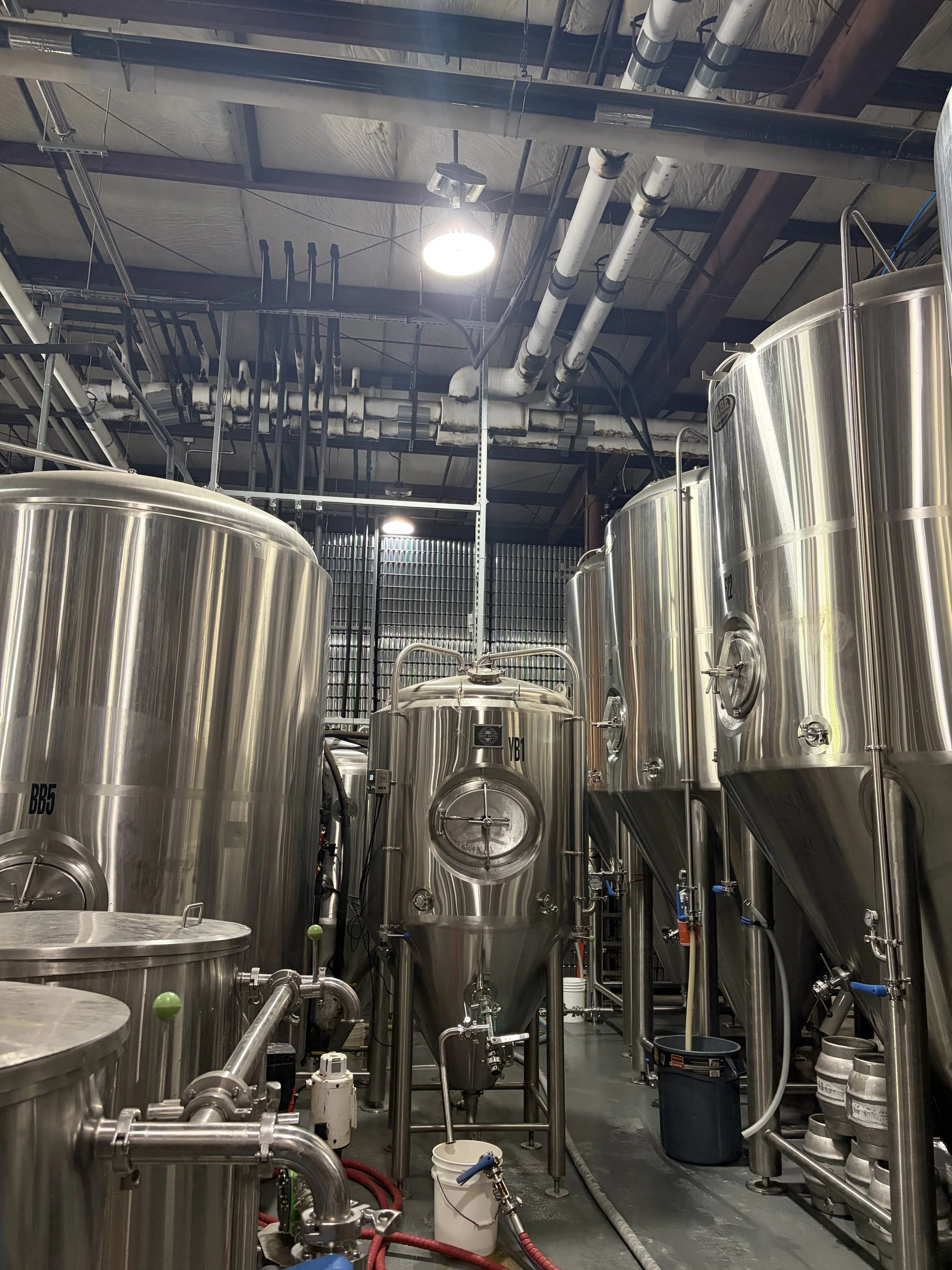 60 barrel fermenters located in Castle Island brewing Warehouse