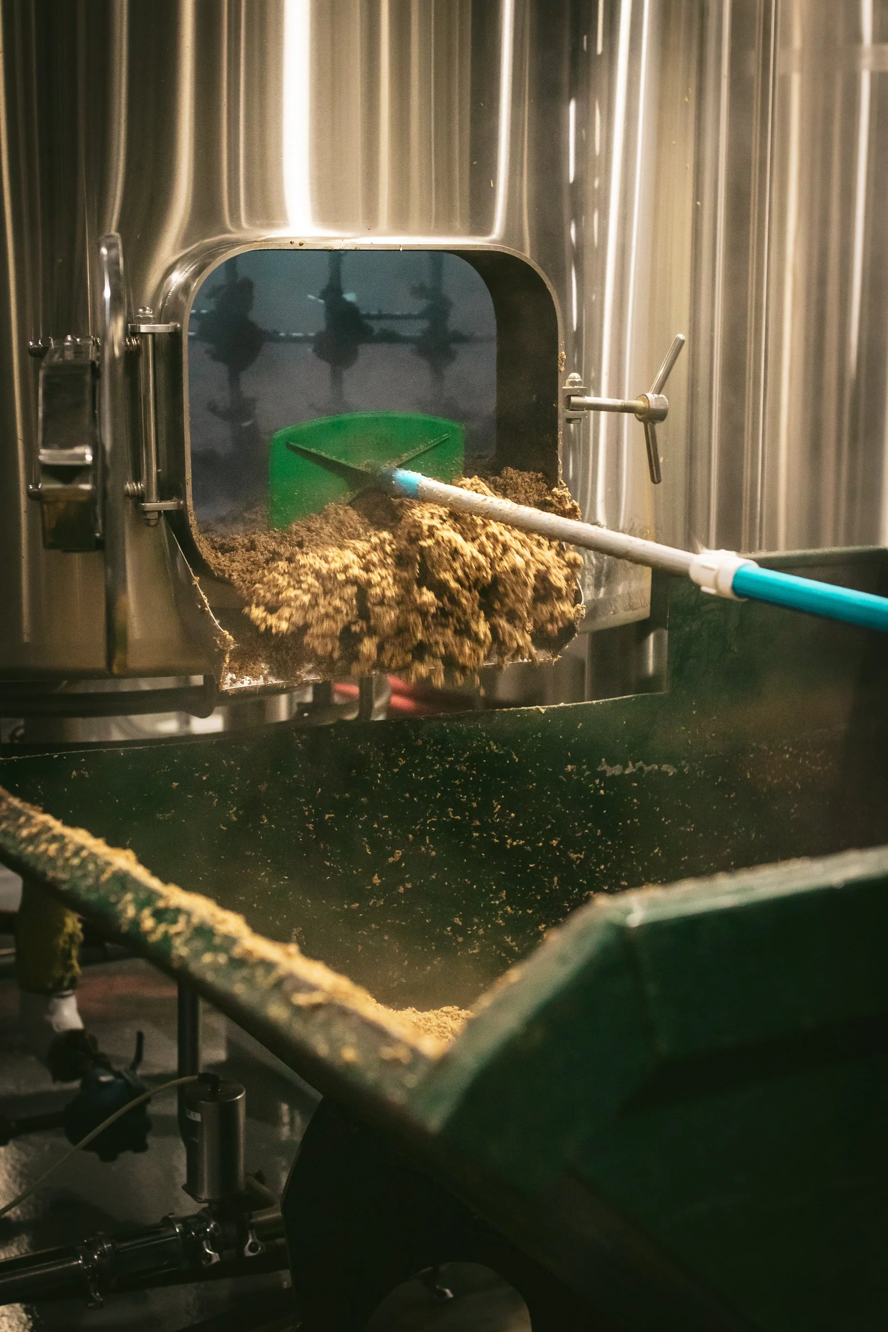 Graining out during the beer brewing process, in which removes the spent grains from the mash tun after the wort has been drained