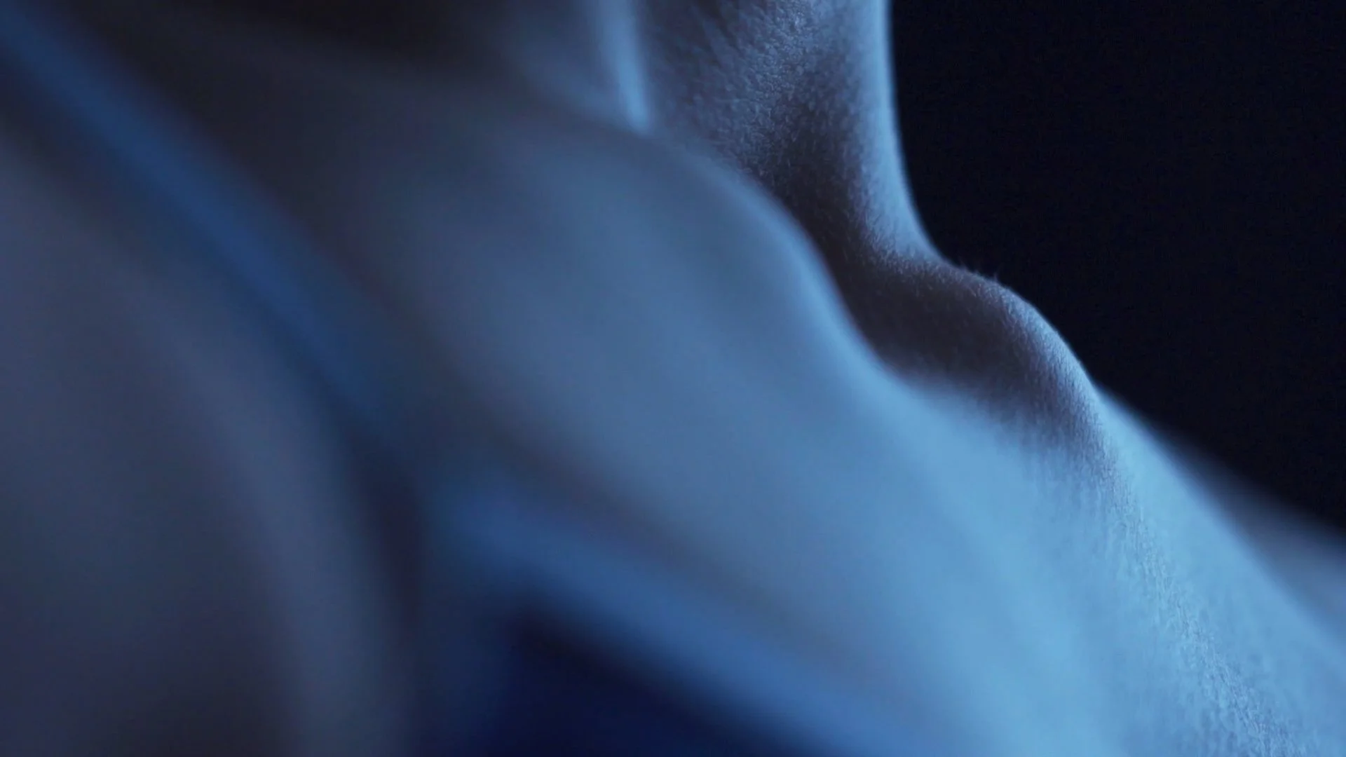 Kilka sekund na trampolinie 2020