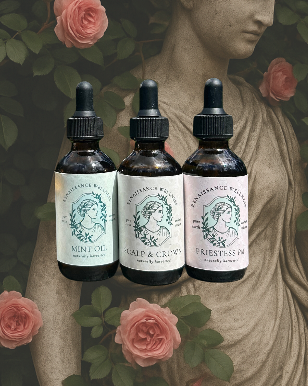 Oils TRIO & 2oz Clay