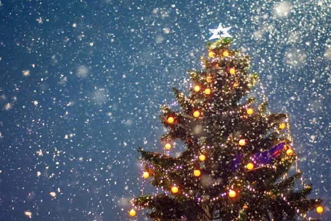 Calimesa Tree Lighting Ceremony