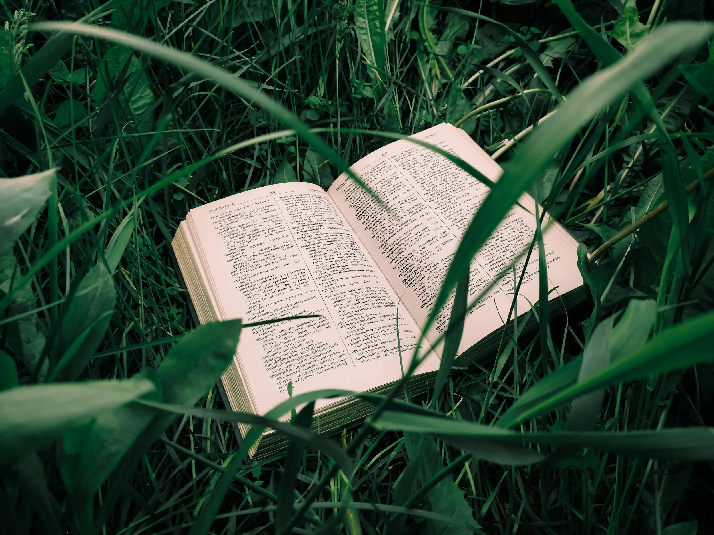 An open book lies on grass surrounded by tall green grass and leaves.