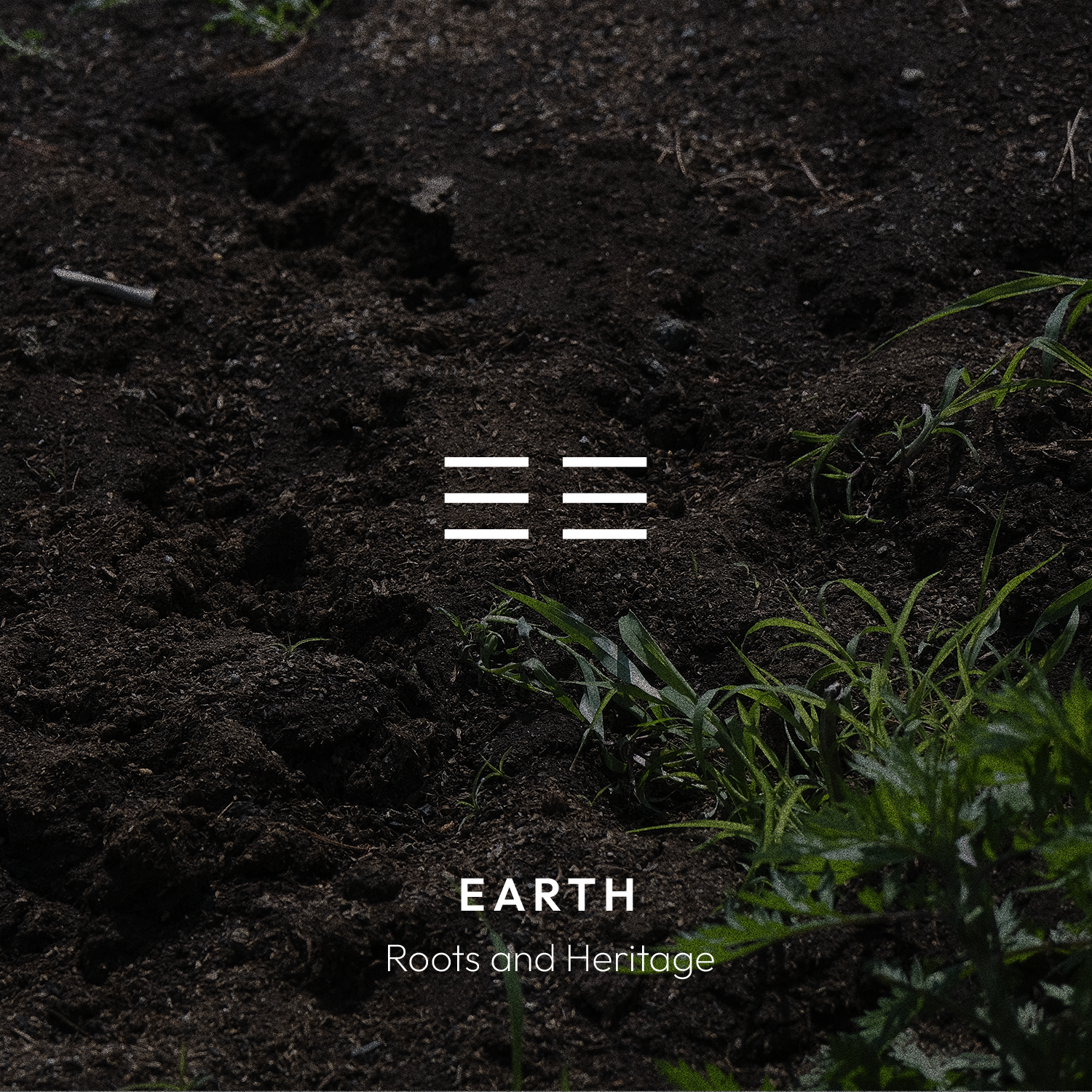 Gon (Earth, 坤): young shoots emerging from dark soil.