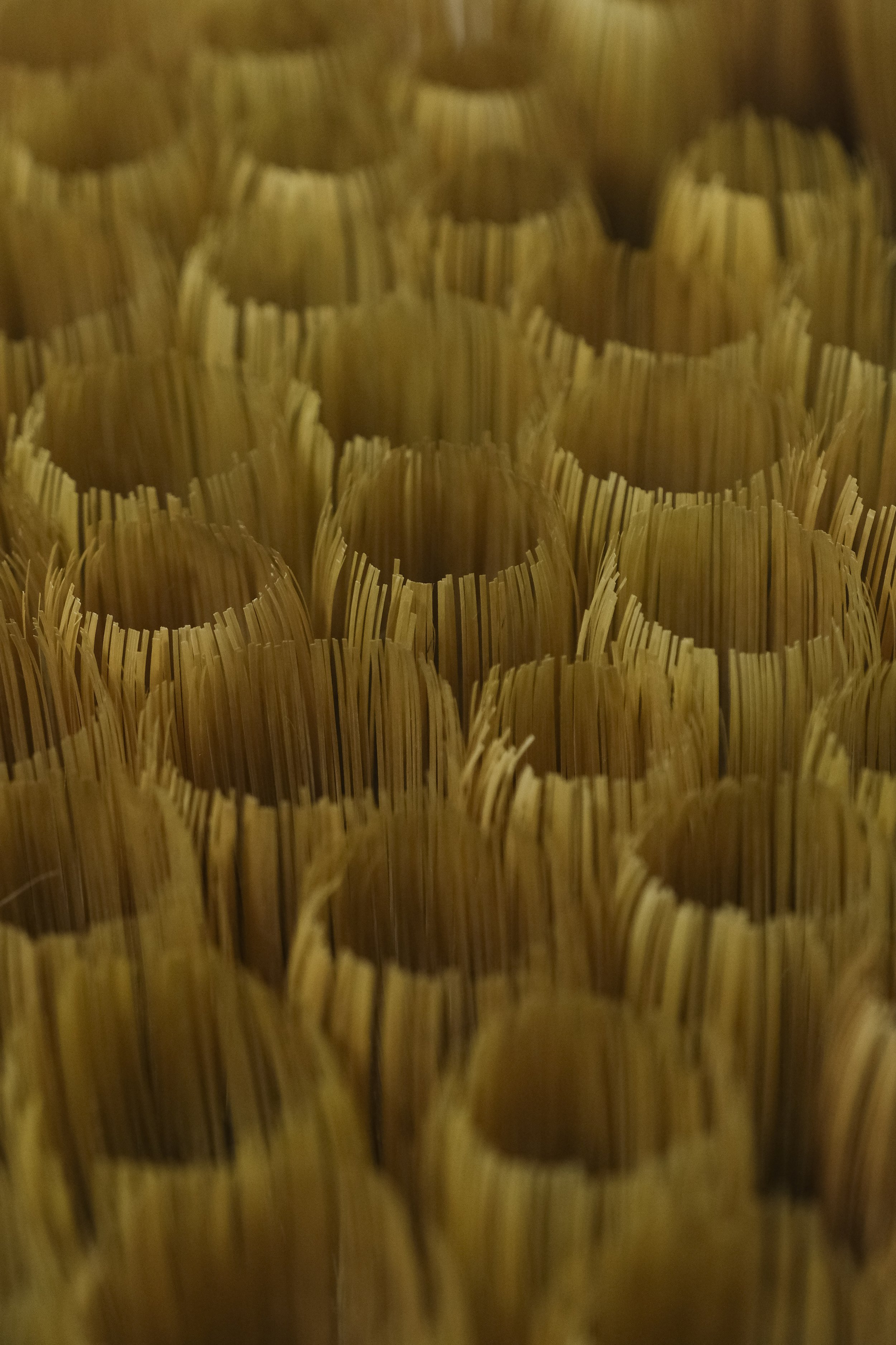 Close-up of multiple uncooked spaghetti pasta bundles arranged upright.