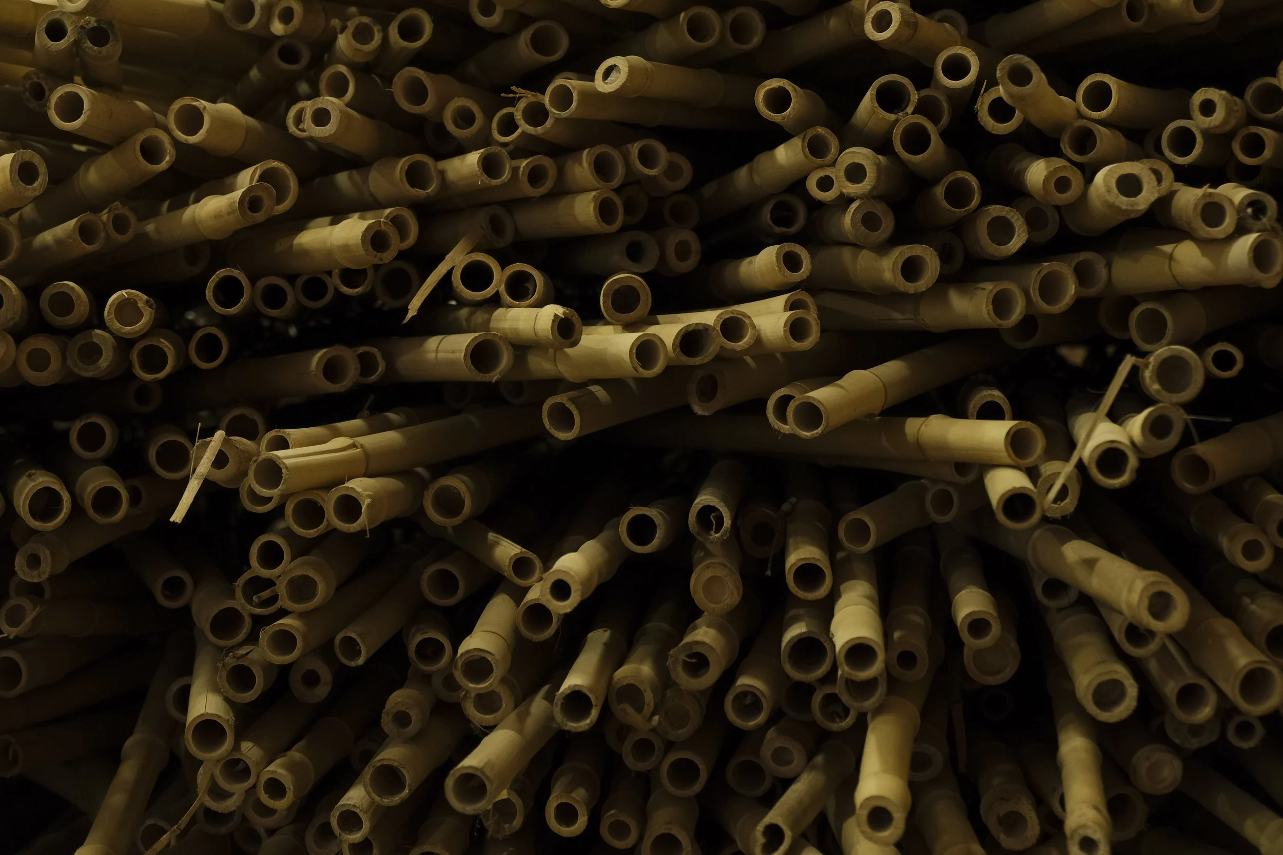 A close-up view of numerous bamboo stalks stacked together.