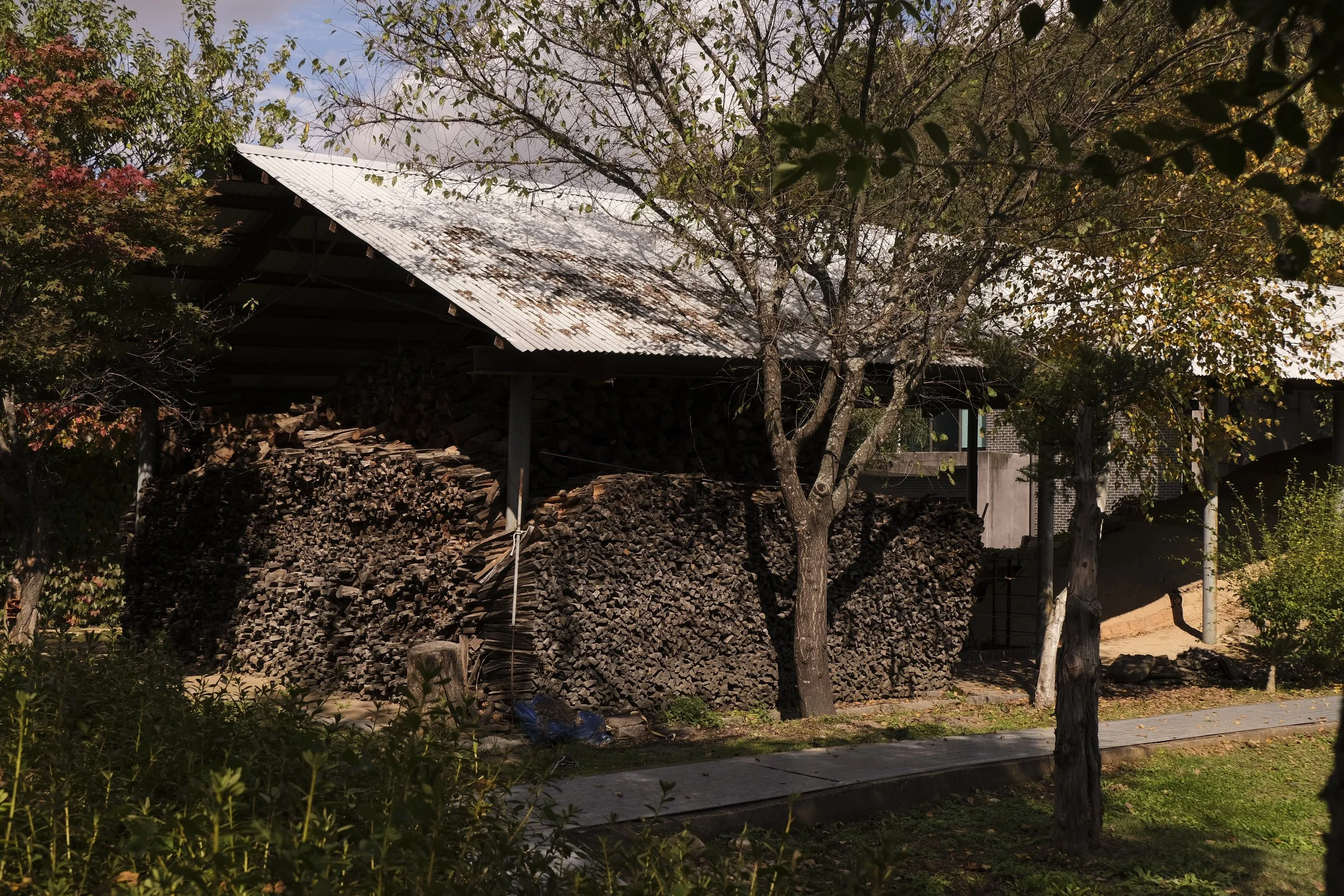 A woodpile stacked under a metal roof with trees and a sidewalk in front.