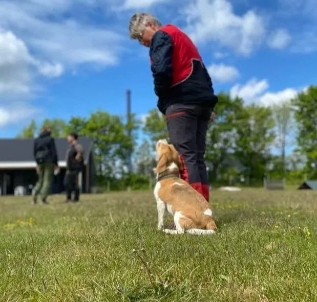 Foredrag - Adfærdsanalyse og Læring