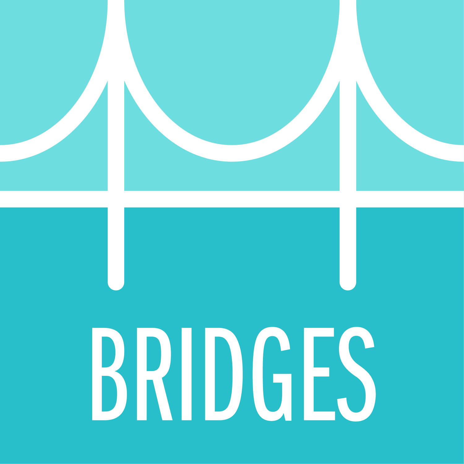 Bridges: A Pathway Towards Curiosity and Community