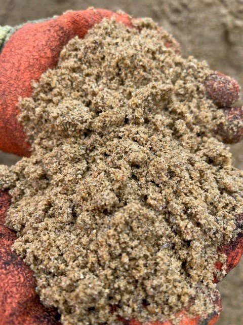 Sharp-Sand-1.jpg