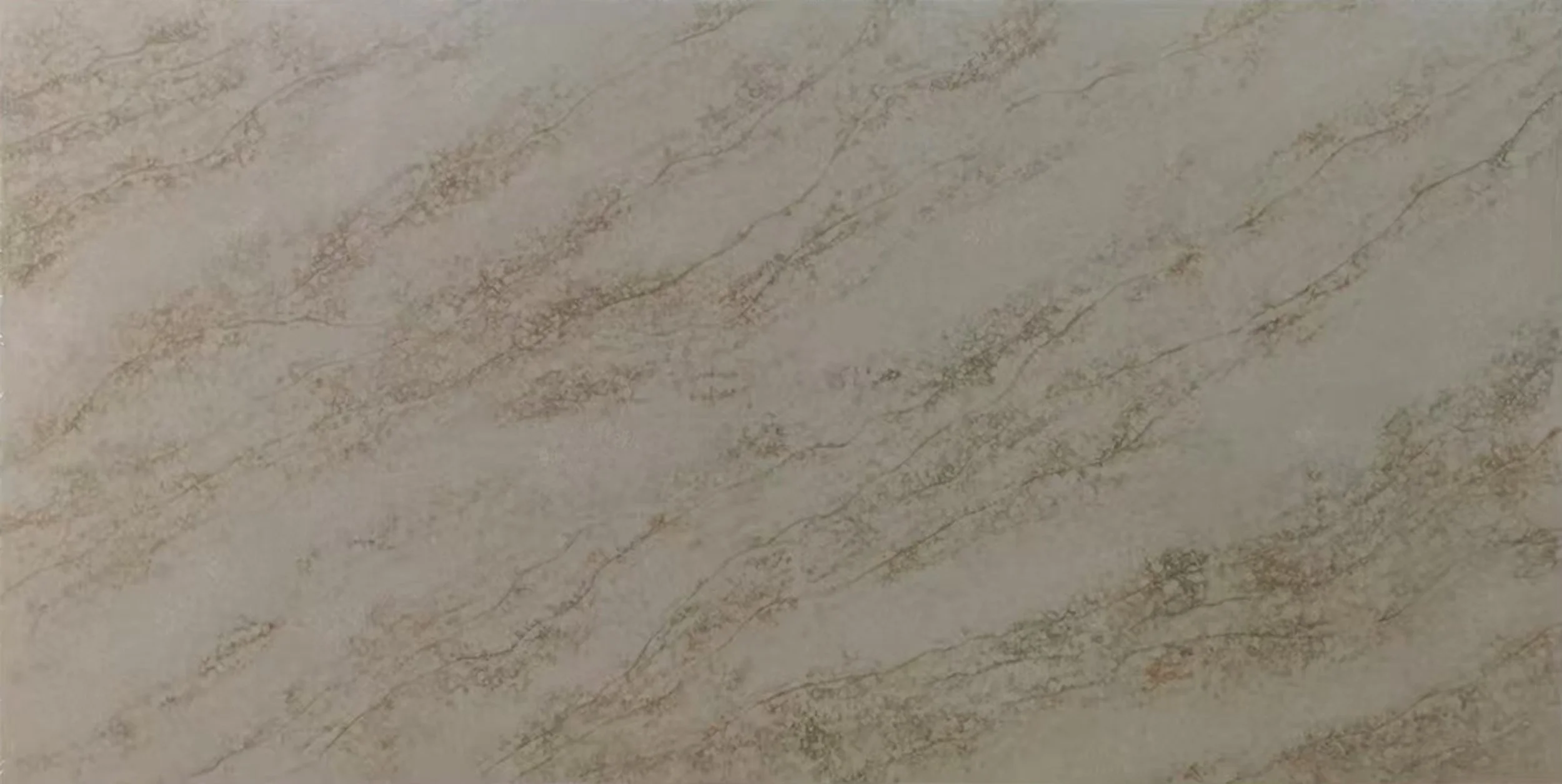 CQ959  TERRA WAVE 威美之星 terra wave~4.png