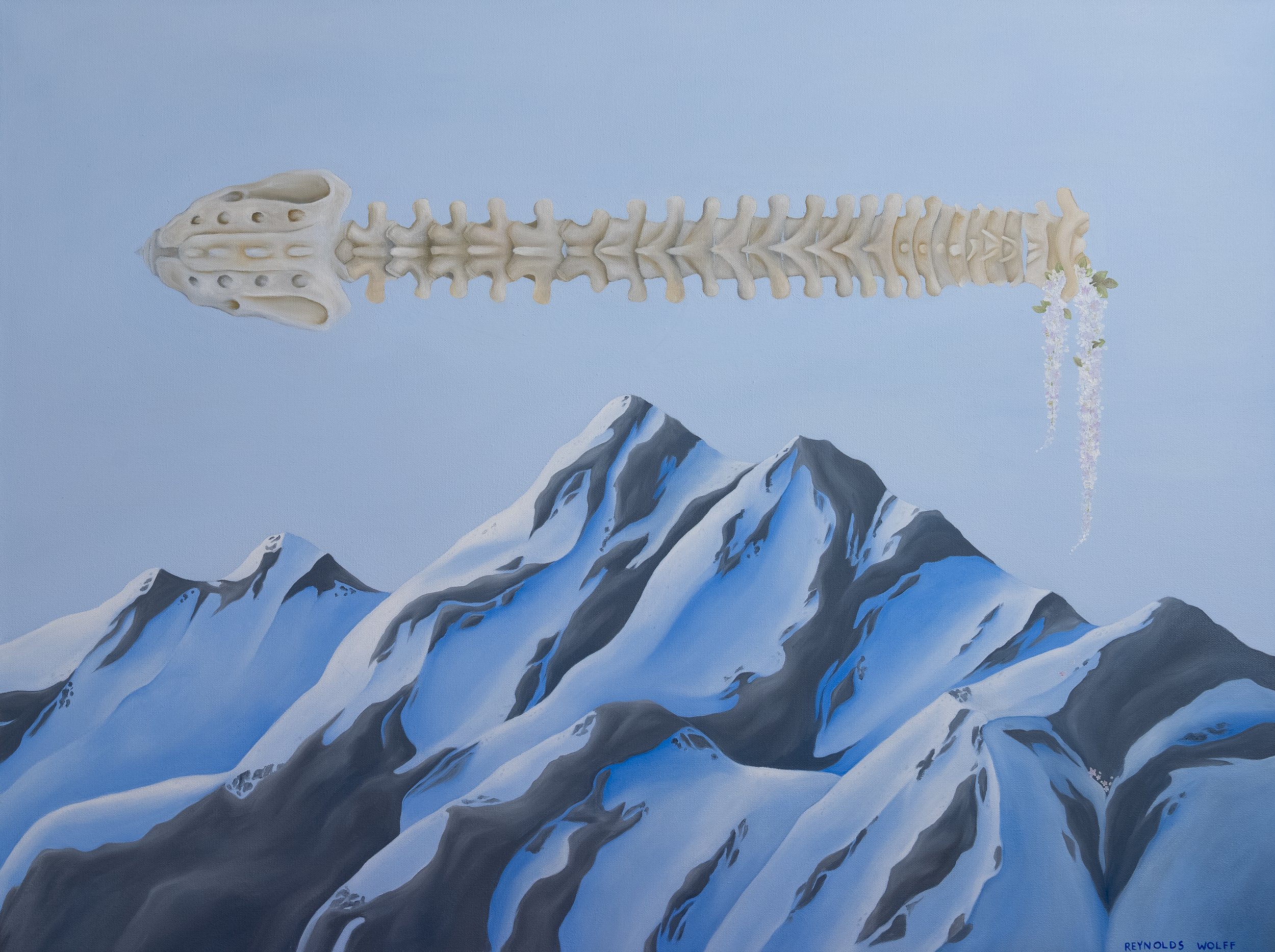 Reynolds Wolff_Backbone.jpg