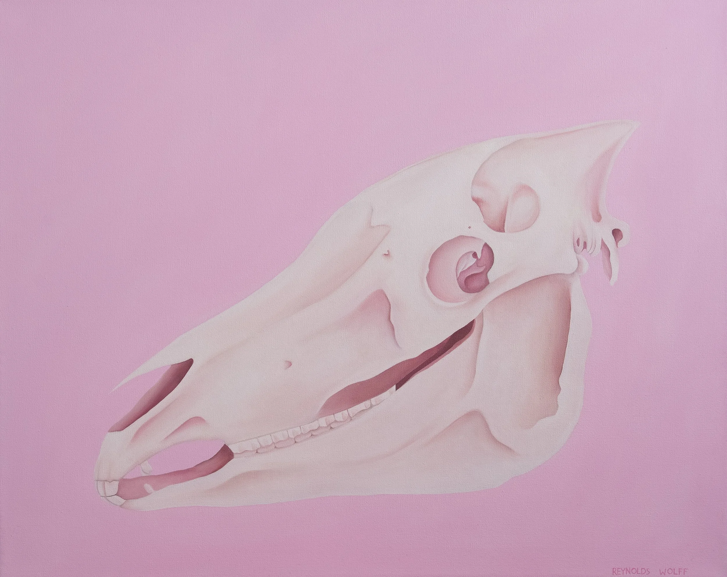 Reynolds Wolff_Horse Skull.jpg