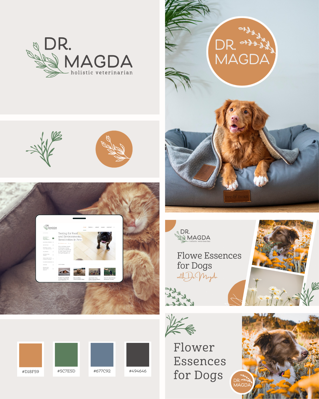 Dr. Magda Brand Board.png