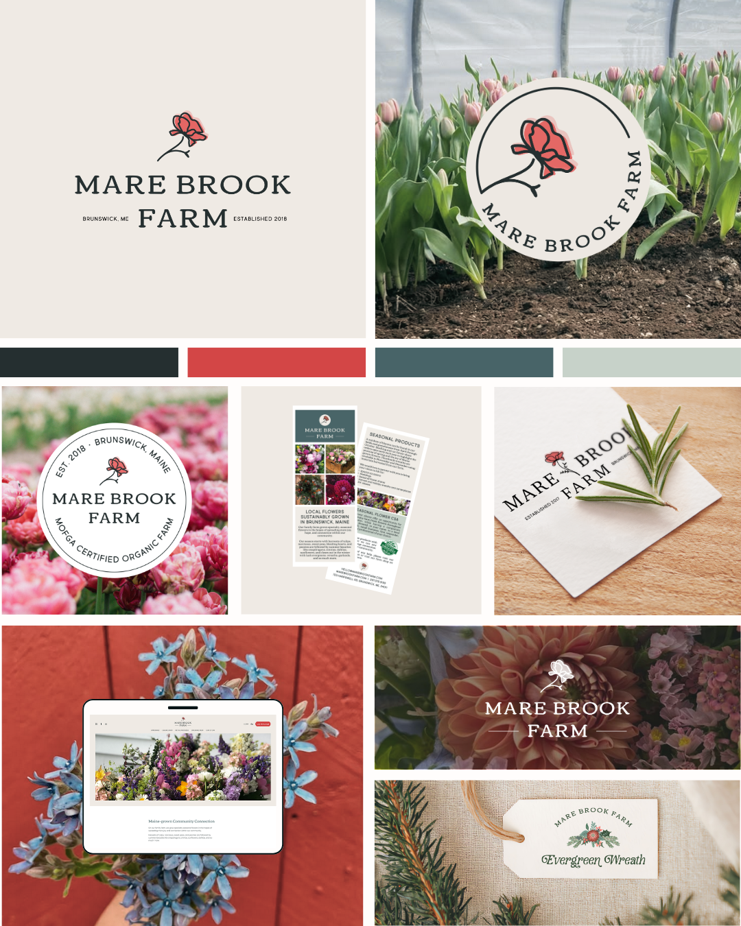 Mare Brook Farm Brand Board.png
