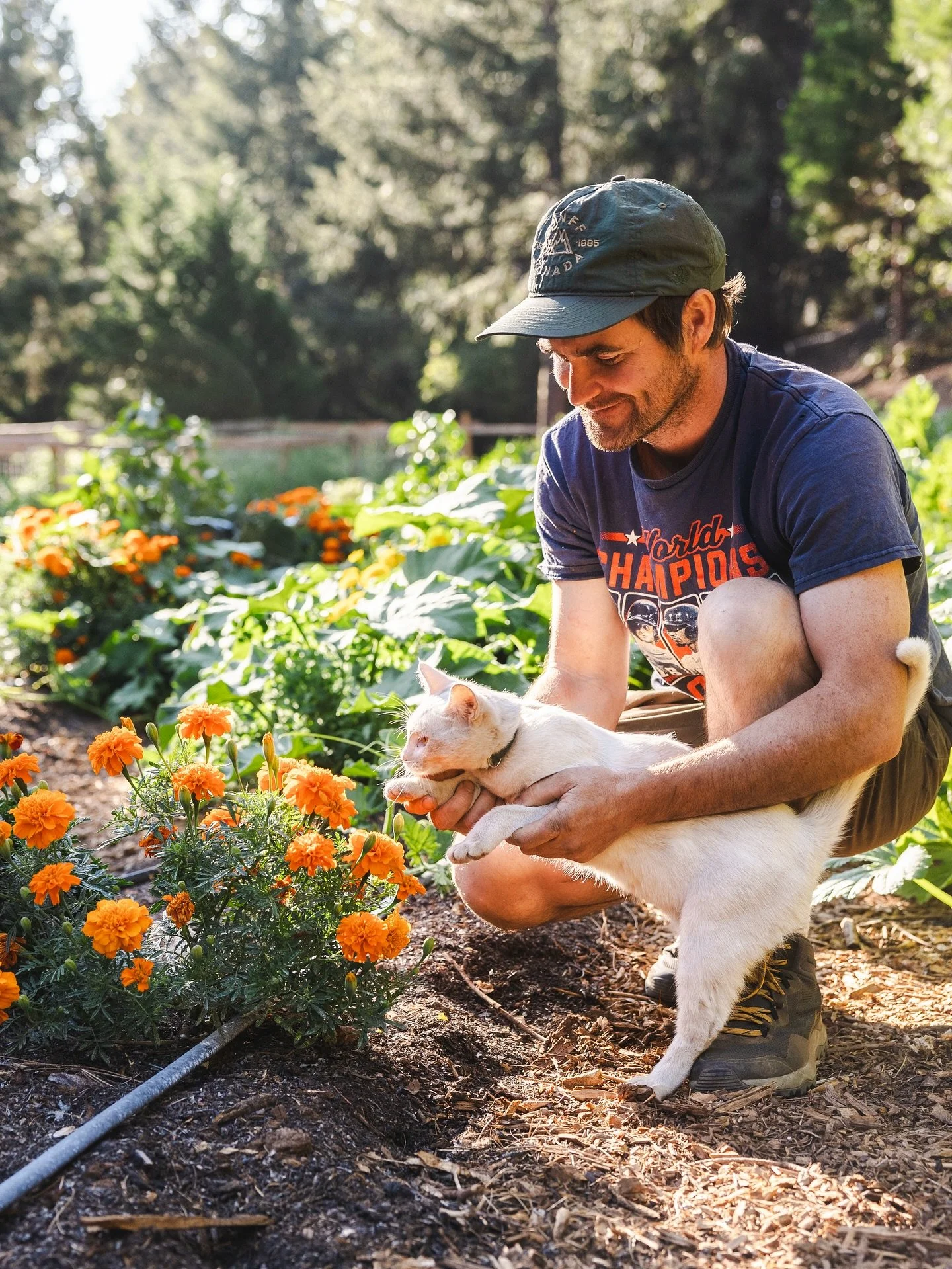 This week&rsquo;s harvest highlight comes from Snowline Farm in Alta, CA 🌿 a high-elevation farm bringing us beautiful, crunchy cucumbers, golden + red beets, fresh onions, and vibrant edible marigold flowers (pictured) 🌻✨.

Family-owned and rooted