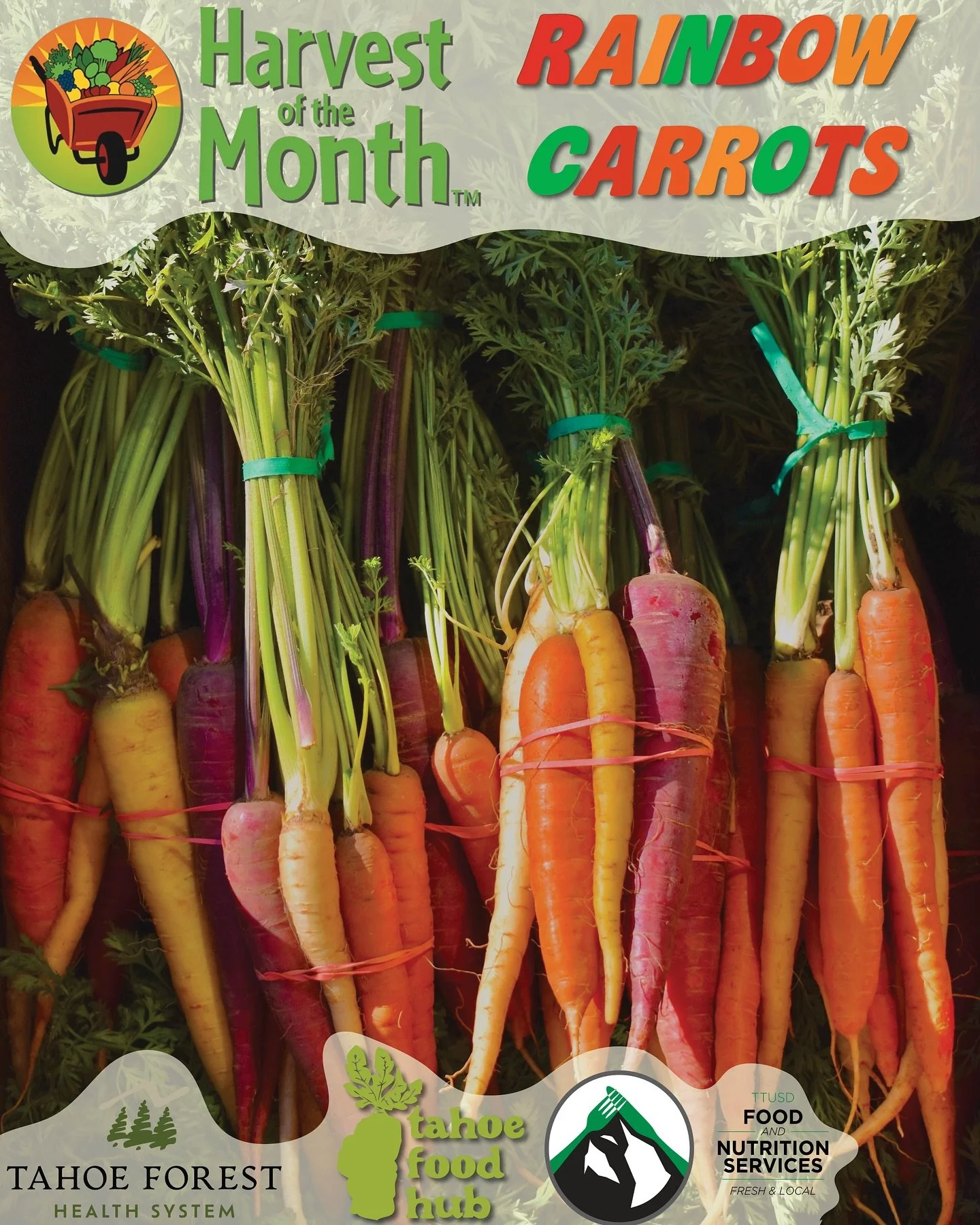 ππ₯ October’s Harvest of the Month is… RAINBOW CARROTS! π₯π
Did you know that the color of a carrot says a lot about its nutrients?
π§‘ Orange carrots are packed with beta-carotene, great for eye health and immunity.
π Purple carrots