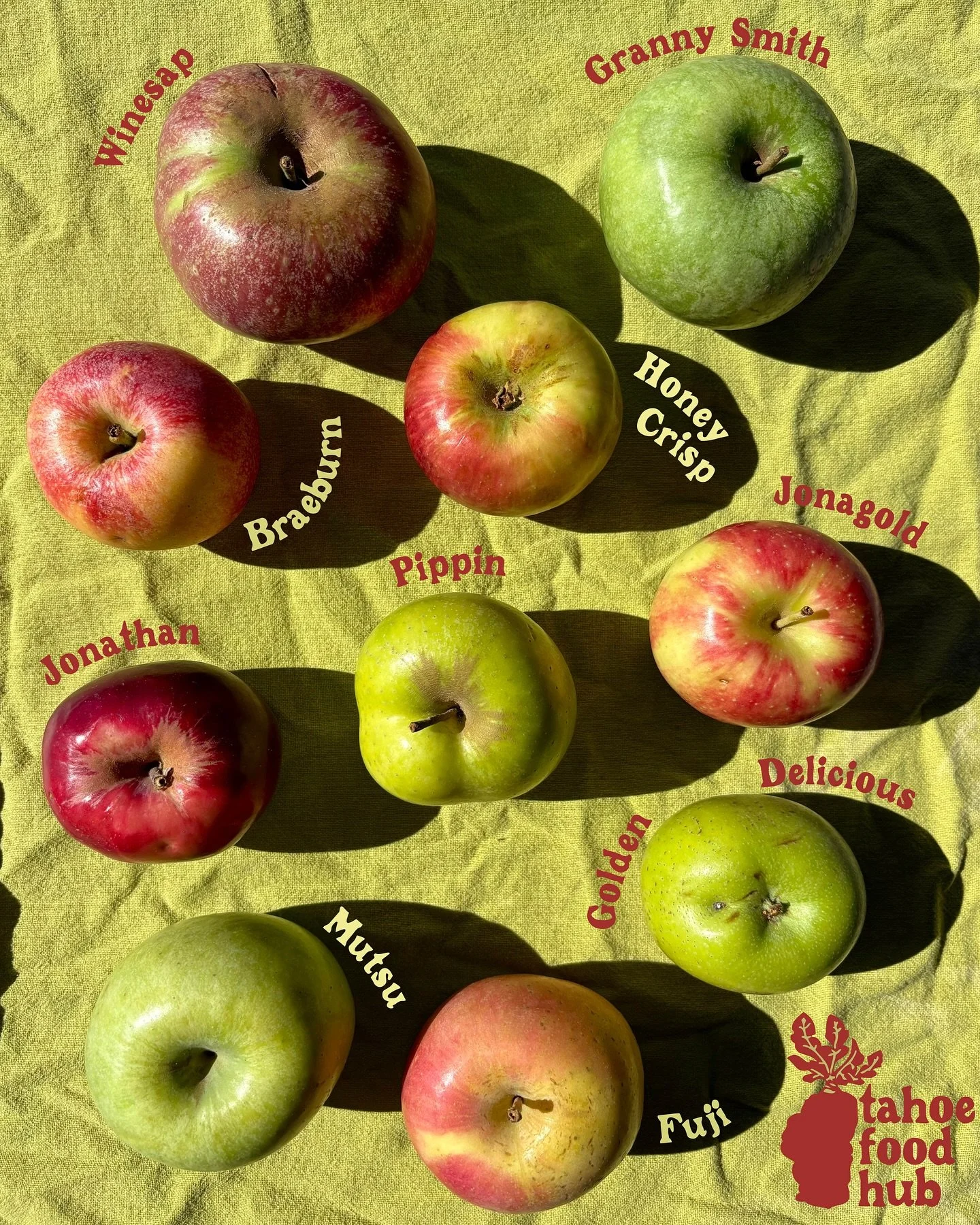 π Did you know there are over 7,500 apple varieties in existence? From crisp Granny Smiths to sweet Golden Delicious, we’re lucky to feature several delicious kinds grown right here in the Sierra foothills.
Our partner farms in Apple Hill (El