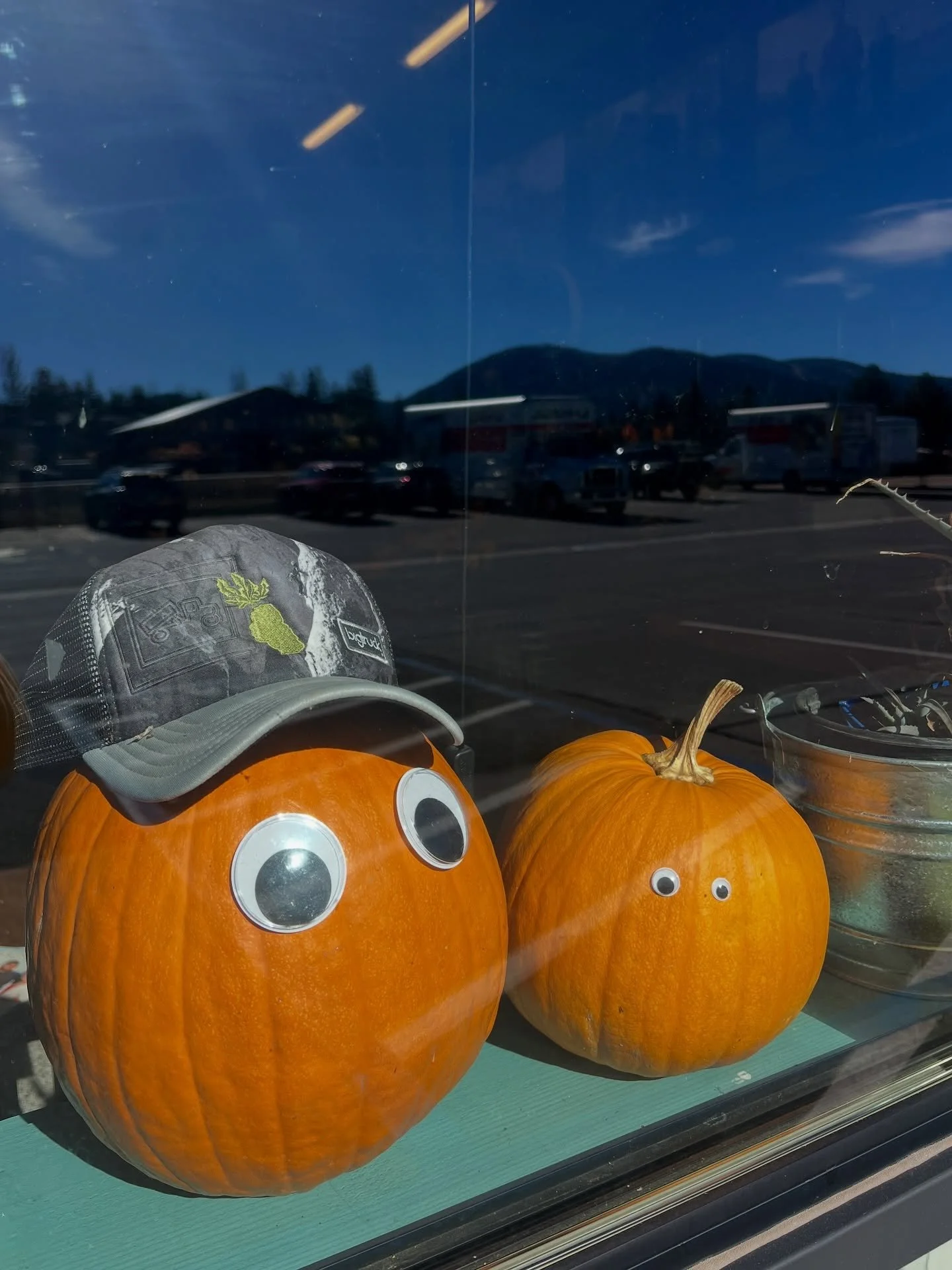 Thank you for a great fall 🍂🎃

Reminder: We&rsquo;re taking a little breather before the busy holiday season! 

The Farmacy will be closed November 6th&ndash;8th for our fall closure deep clean and truck maintenance. 

Our online market will reopen