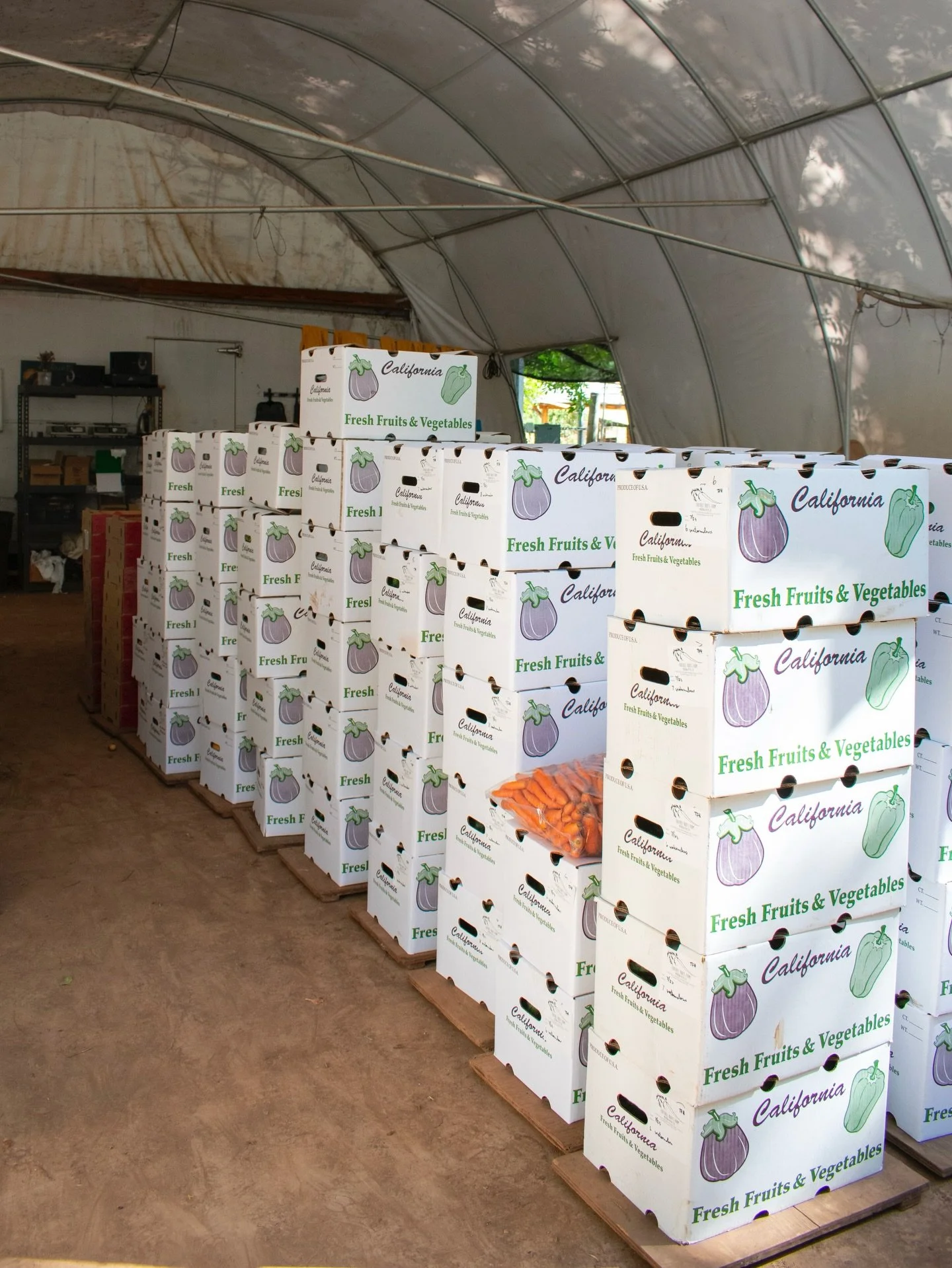 Farm Feature: Foothill Roots Farm 🌱🥬

Patrick and Diane discovered farming through a love of the outdoors, good food, and a formative stint on a friend&rsquo;s micro farm, later honing their skills during three years at Mountain Bounty Farm before 