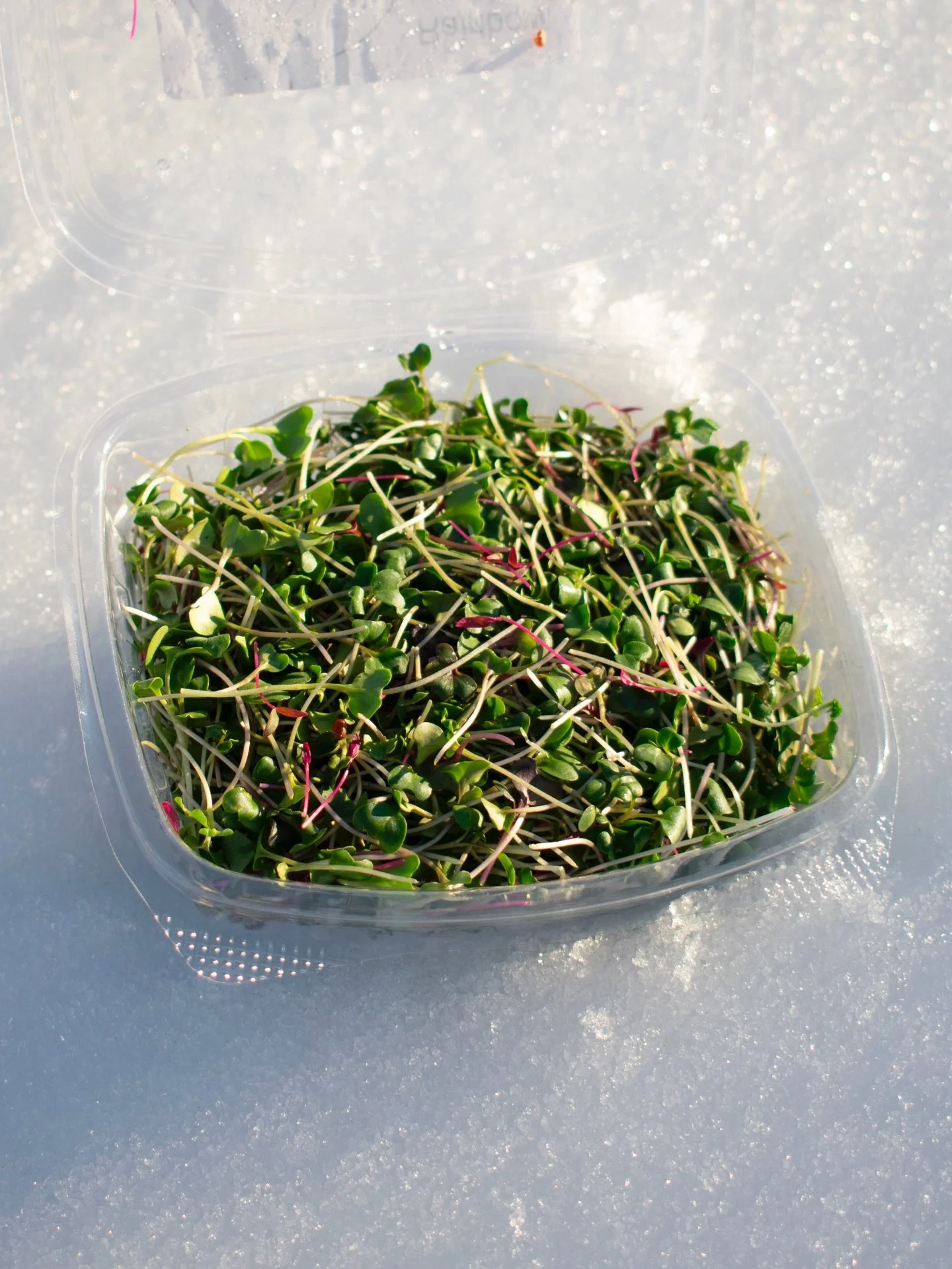 🥦⭐️ New Year, more Nutrient Dense veggies and fruit from your favorite farms! ⭐️🥦

The online market is OPEN, and we&rsquo;re featuring some special veggies and fruit that are excellent, nutritious additions to your winter meals. Citrus, and veggie