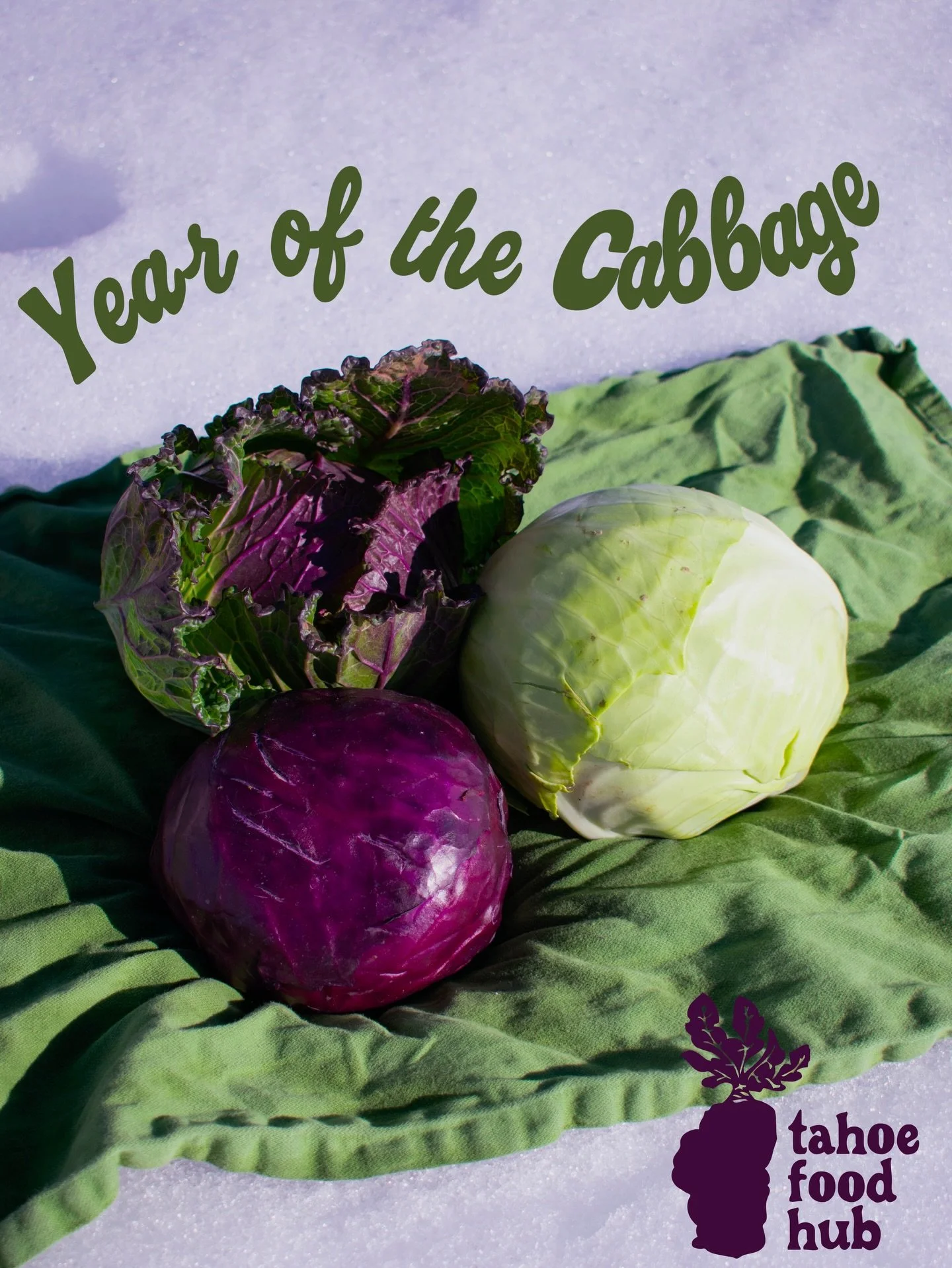 🥬 Year of the Cabbage 🥬 

This week we&rsquo;re highlighting a consistent favorite. Pictured is Deadon cabbage (top), Purple cabbage (left), and Green cabbage (right)!

🗓️ Cabbage is an accessible and nutritious vegetable due to its low cost and y