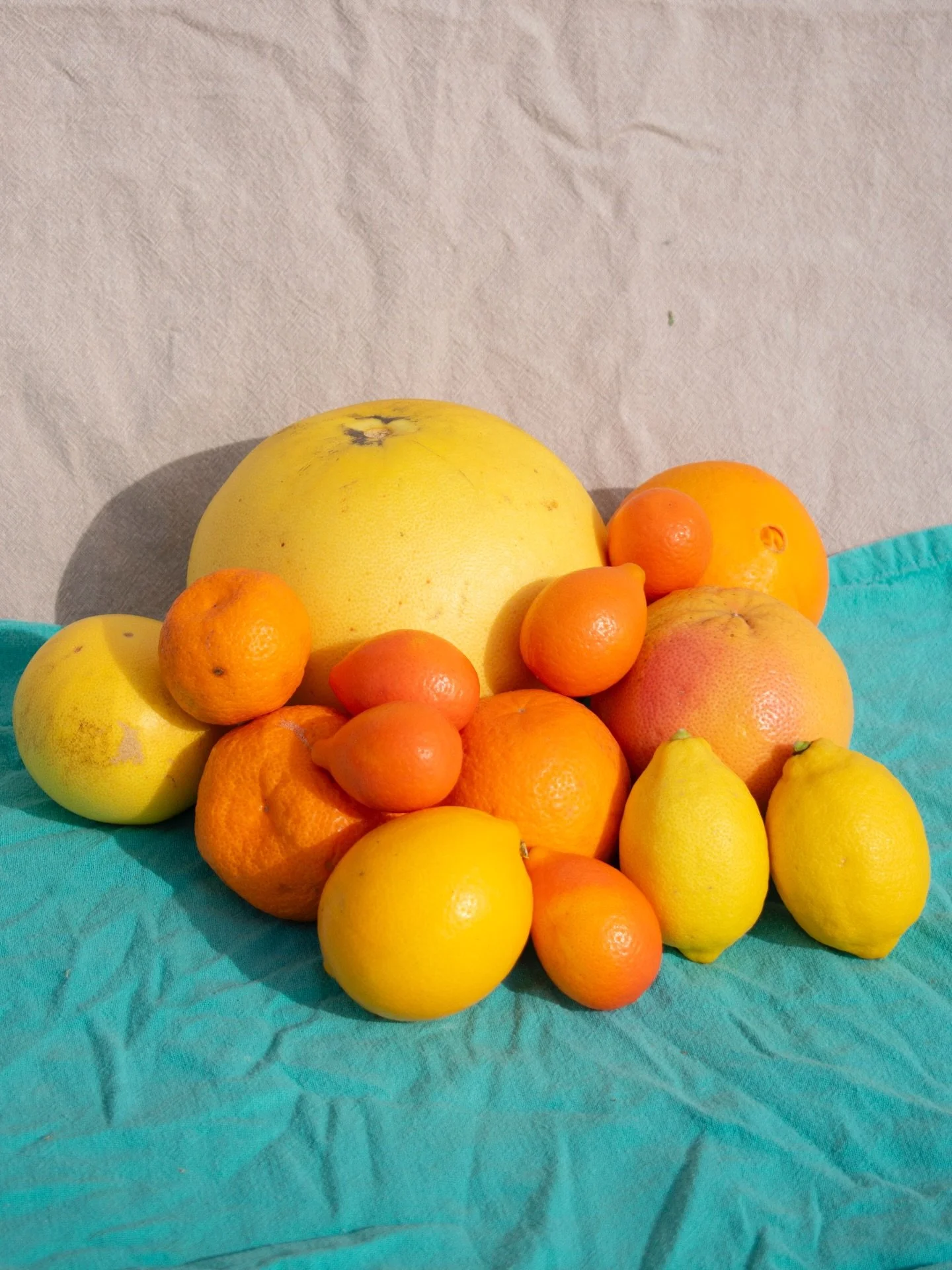 🍊The online market is OPEN🍊

Citrus is one of the best snacks this time of year&mdash;refreshing, juicy, and naturally sweet. Oranges, grapefruits, and mandarins are easy to peel, packed with flavor, and perfect for a quick boost any time of day. B